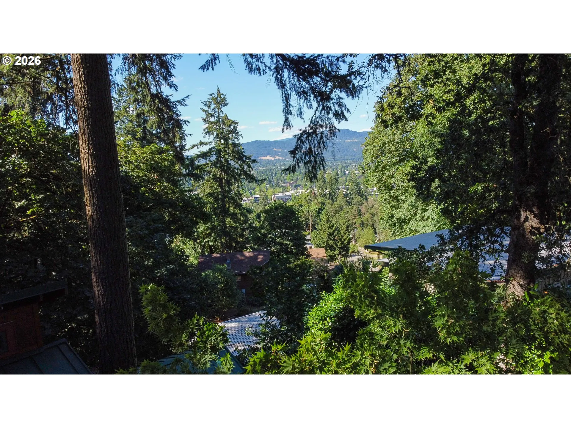 View-Mountain