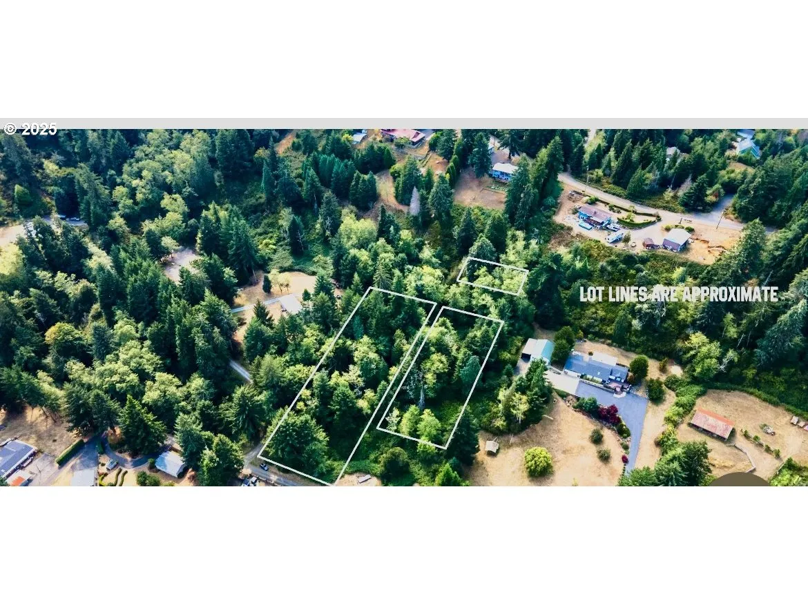 Approximate Property Lines-Aerial