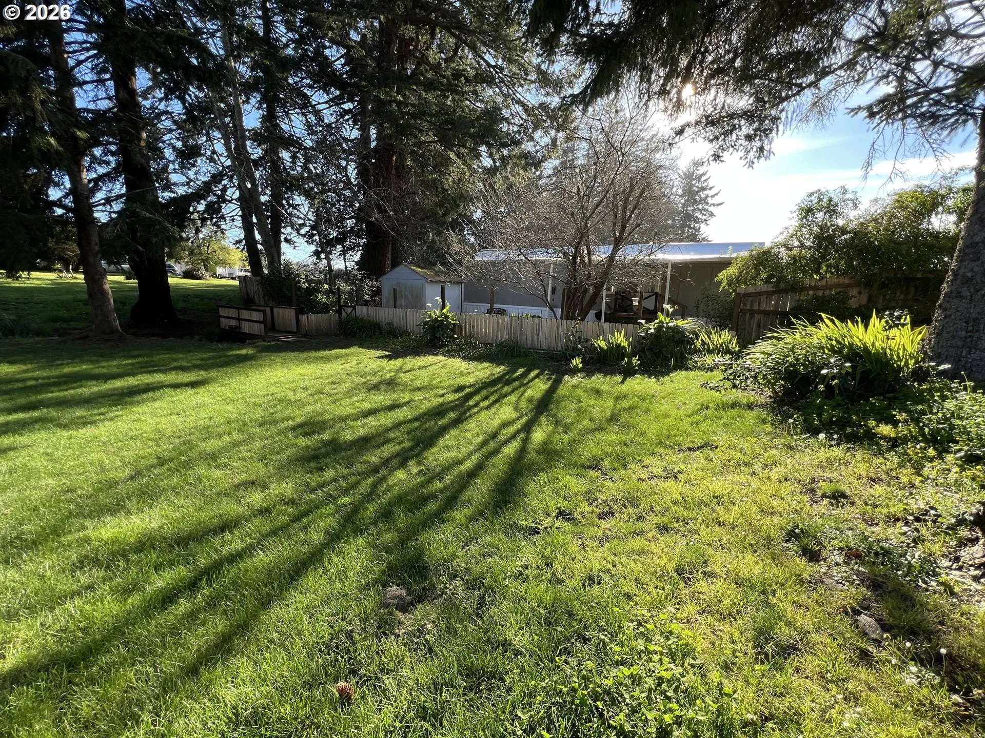 Yard
