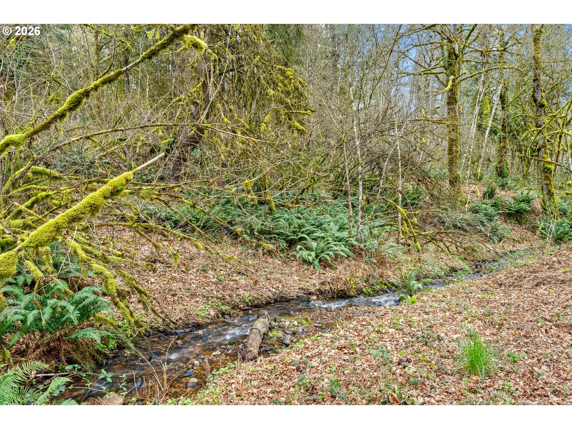 Creek