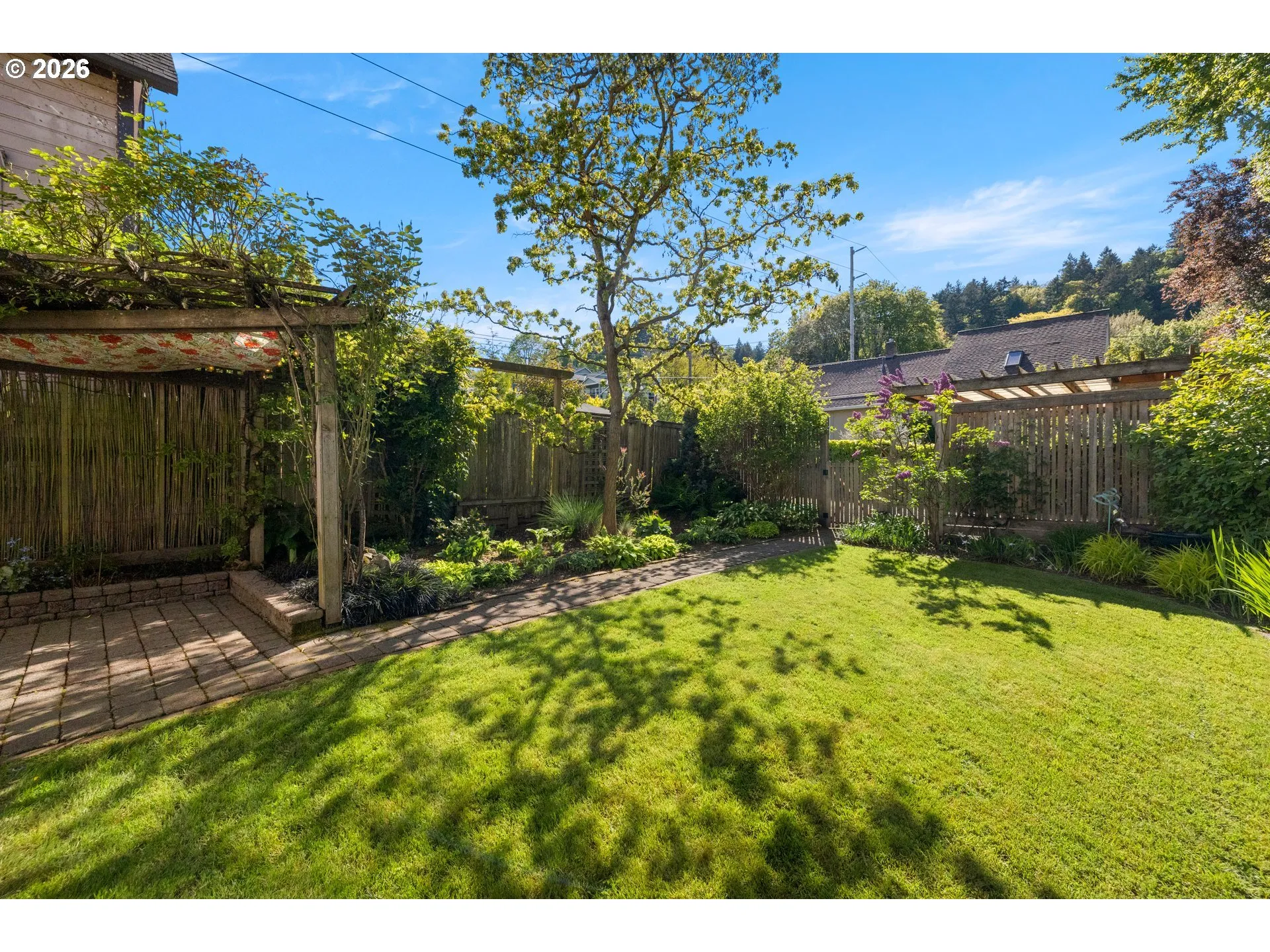Backyard-Fenced