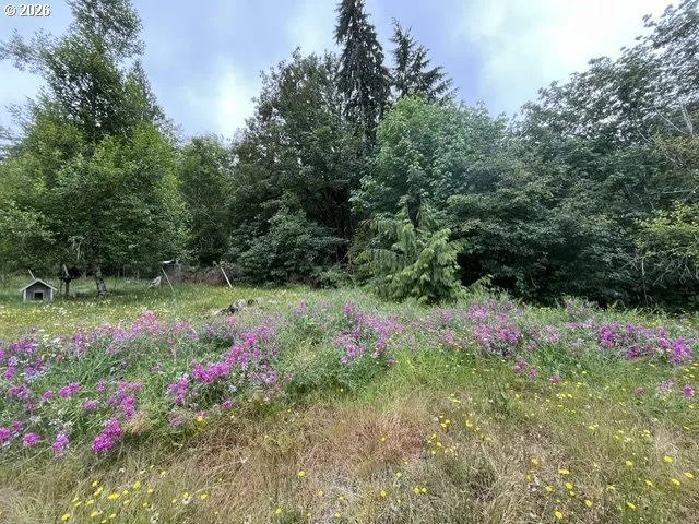 View-SW Facing