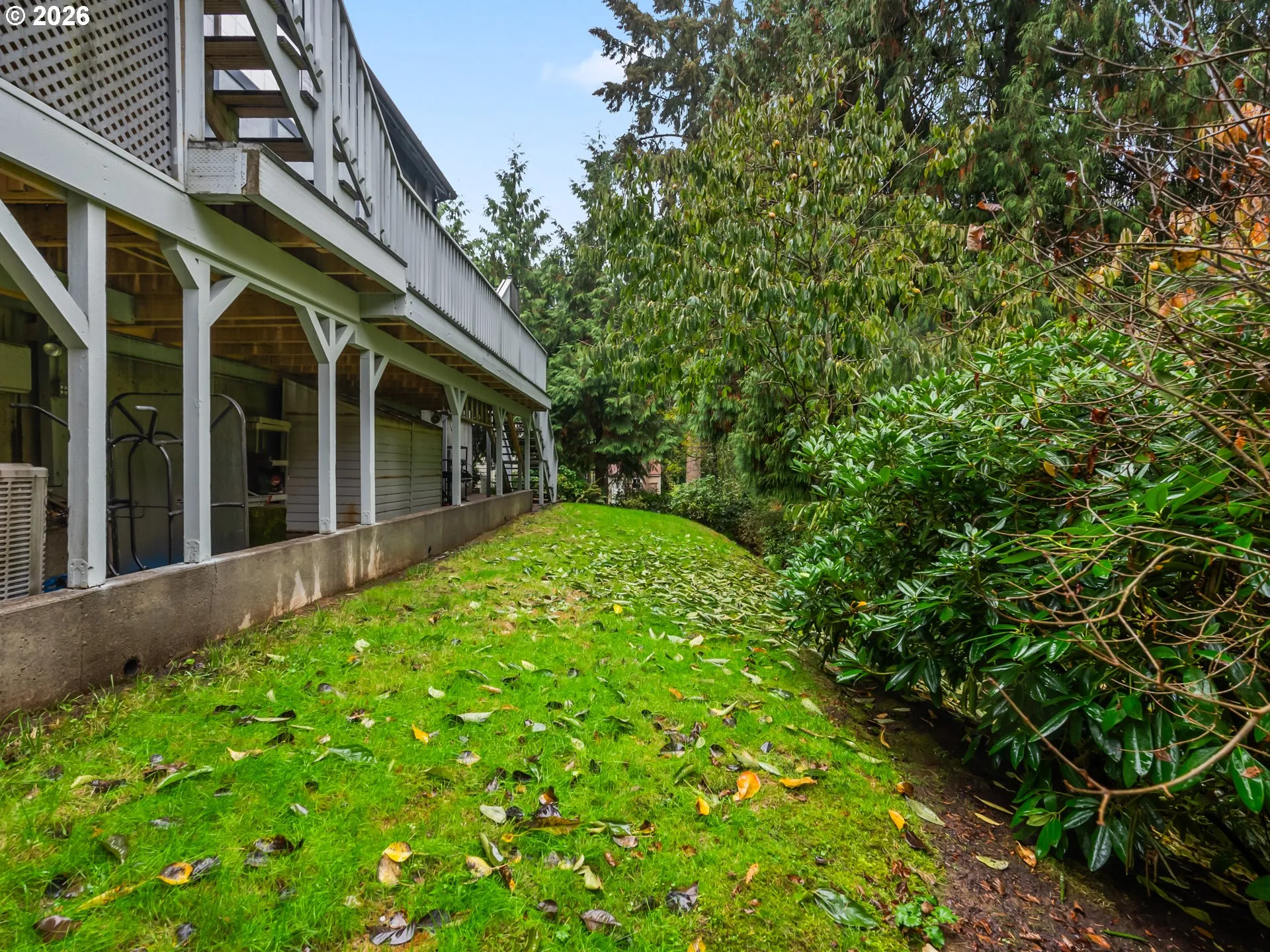 Backyard-View From