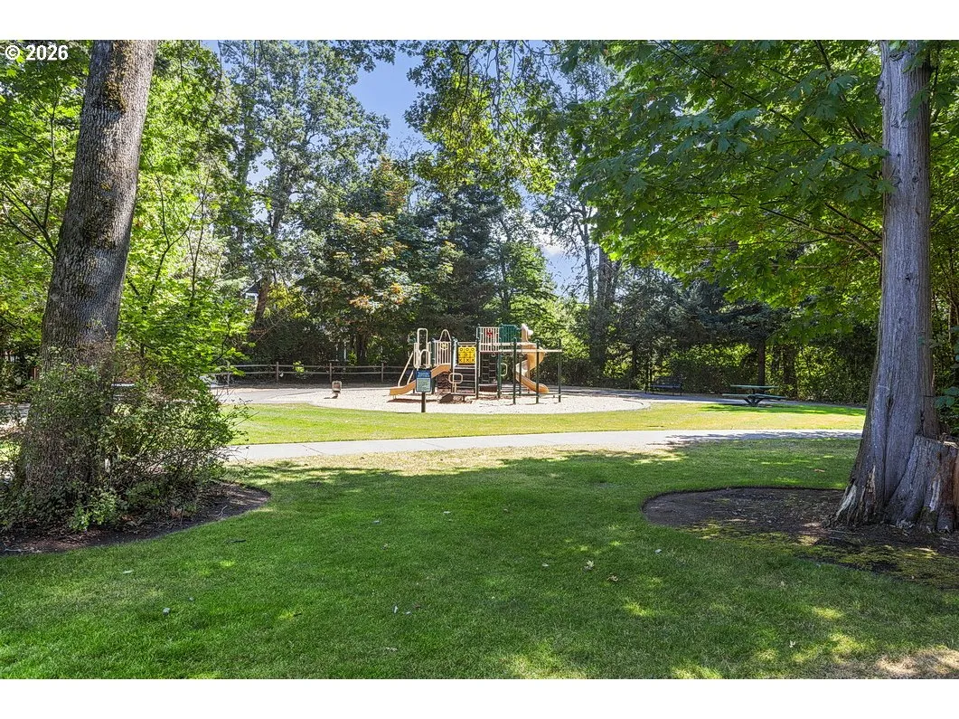 Community Playground