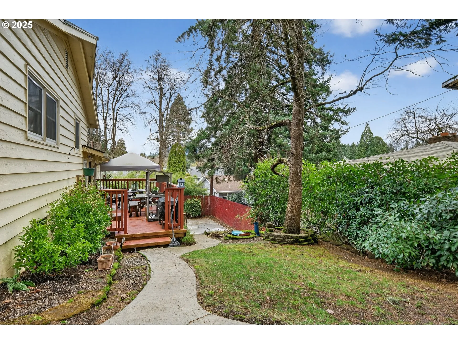 Backyard