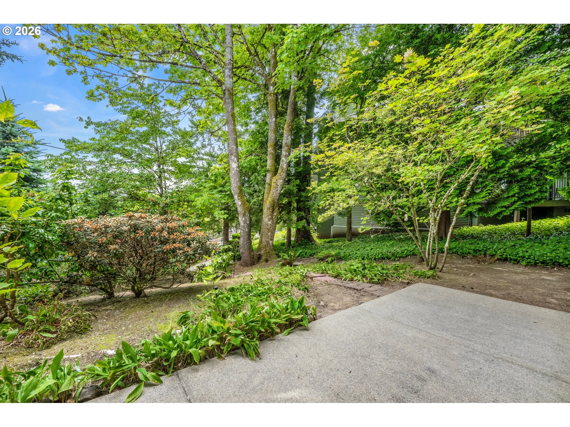 Patio-Backyard