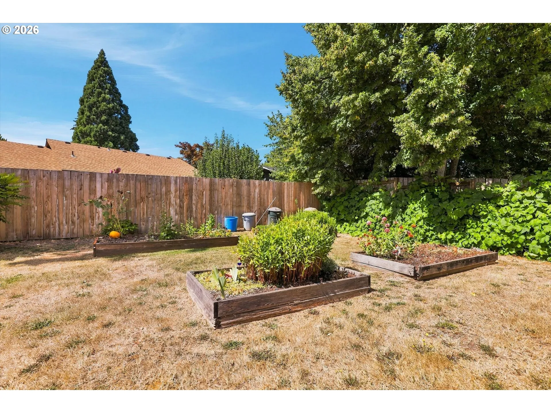 Backyard-Fenced