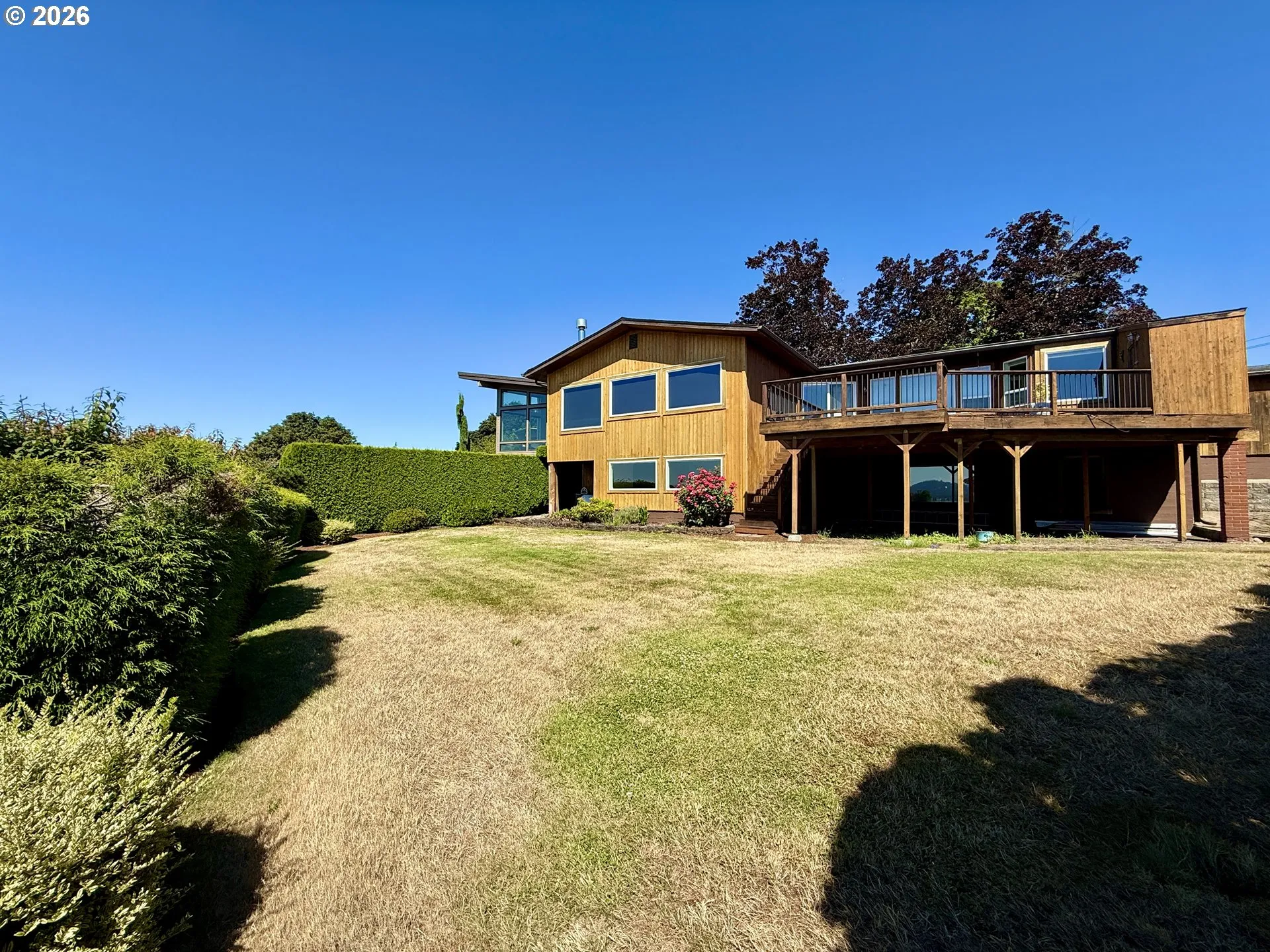 Backyard