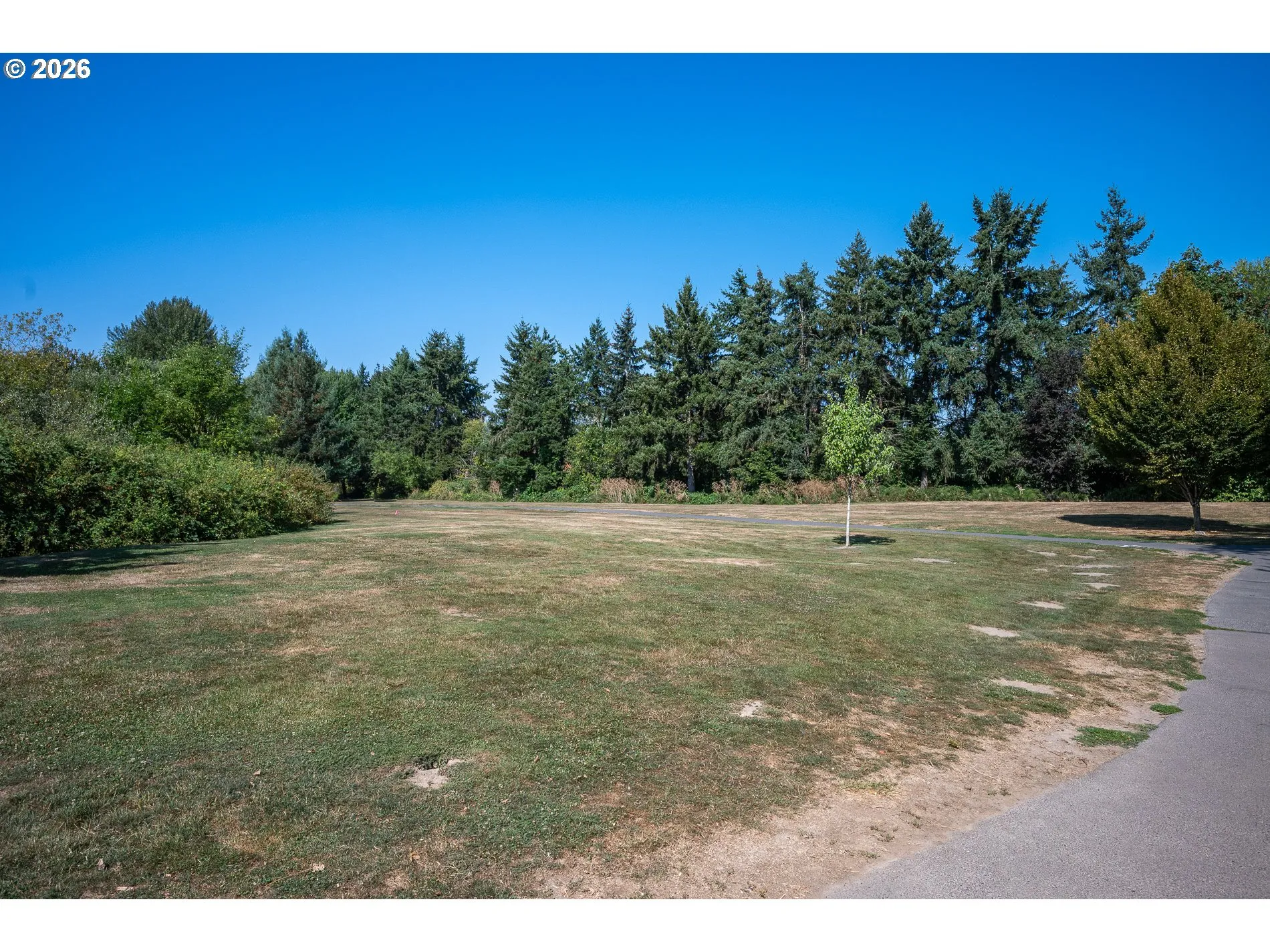 Neighborhood Park