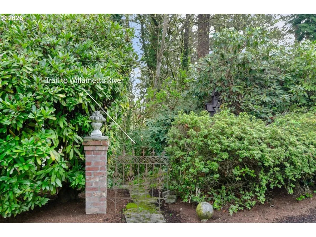 Green Space-Back