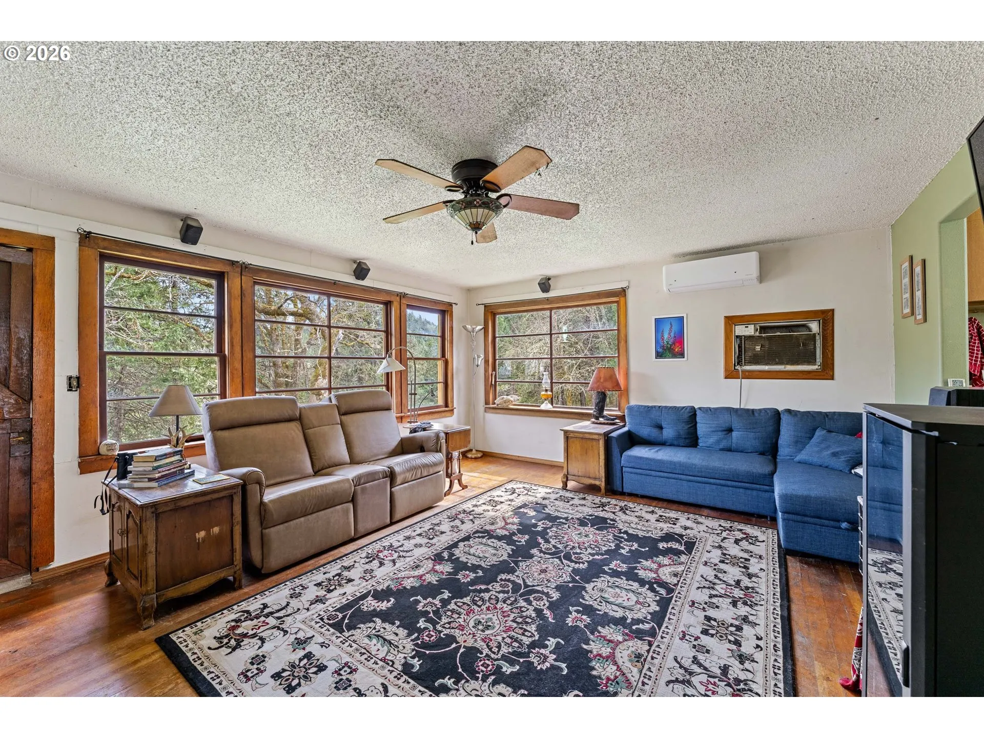 Living Room-Ceiling Fan