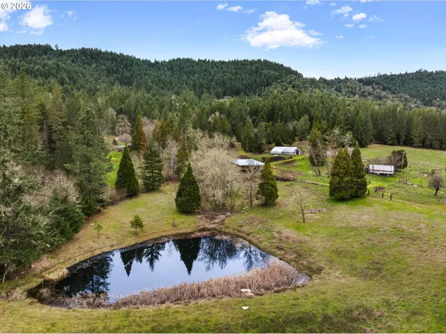 Pond-# 1