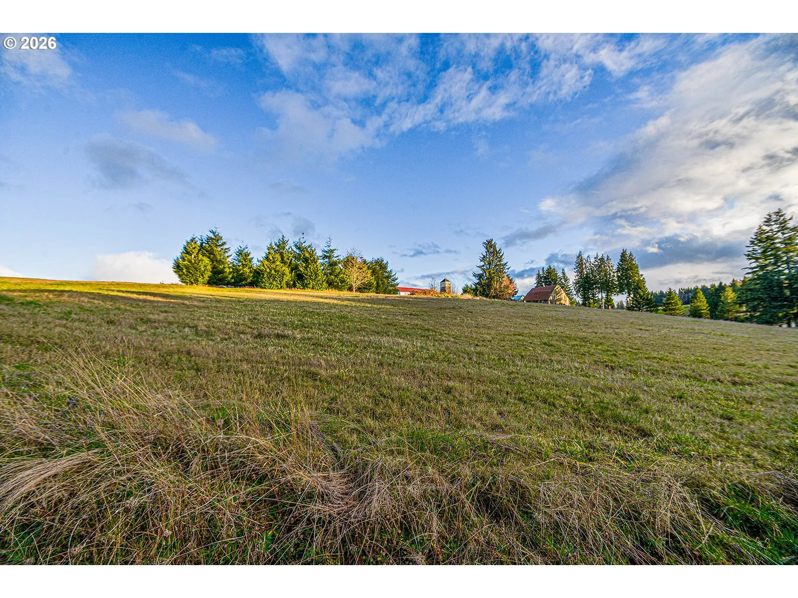 Pasture