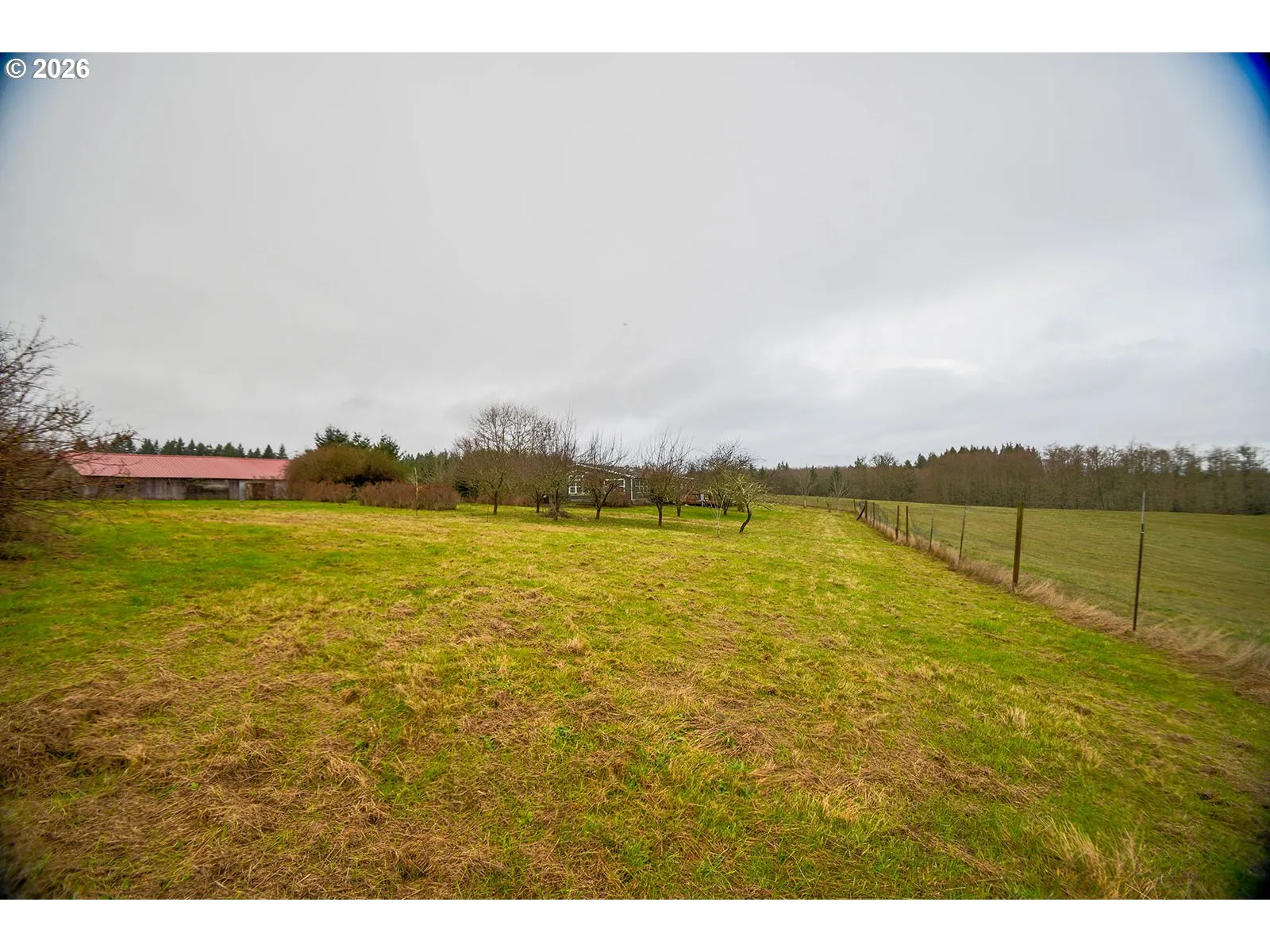 Pasture