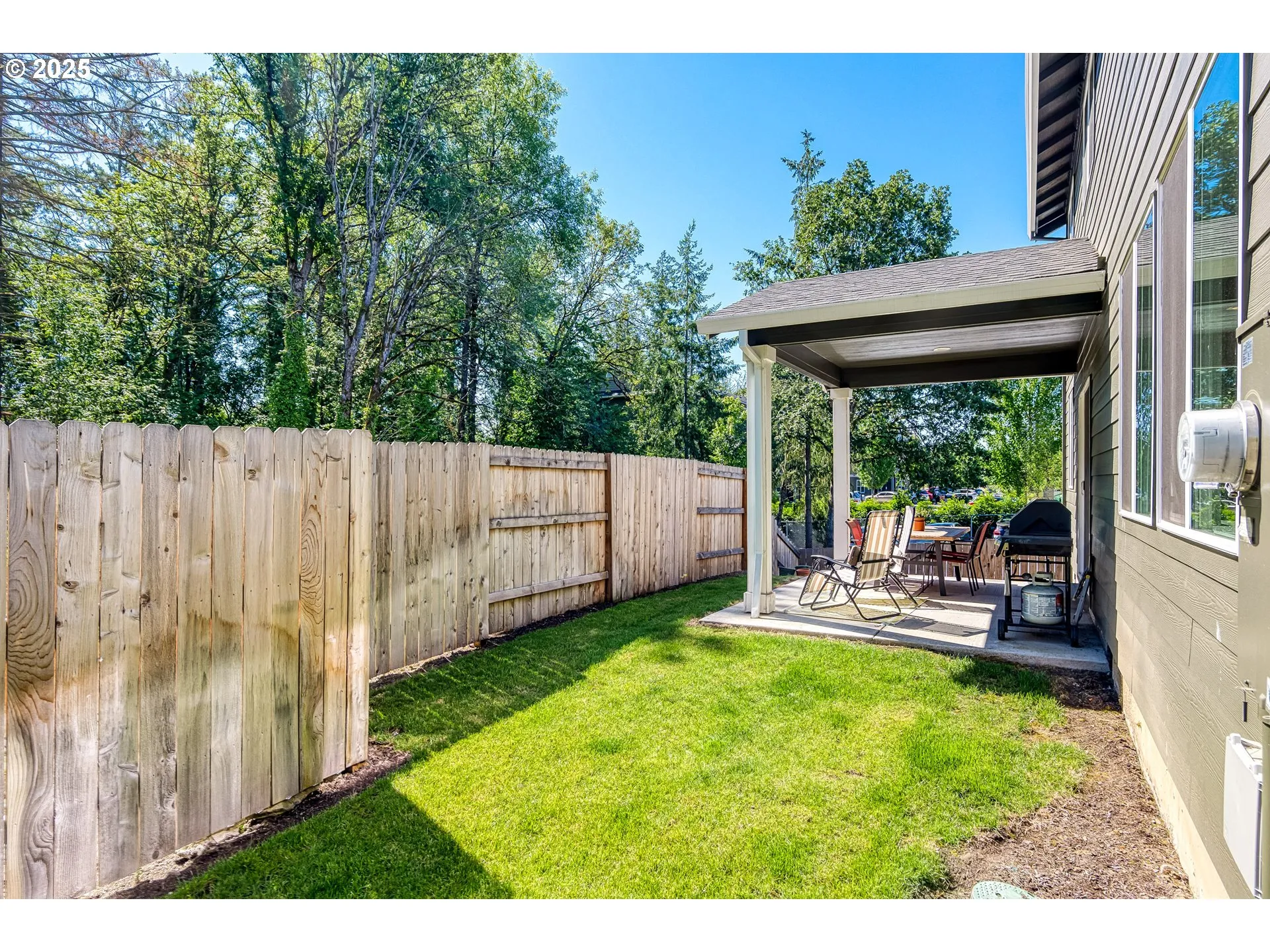 Backyard-View From