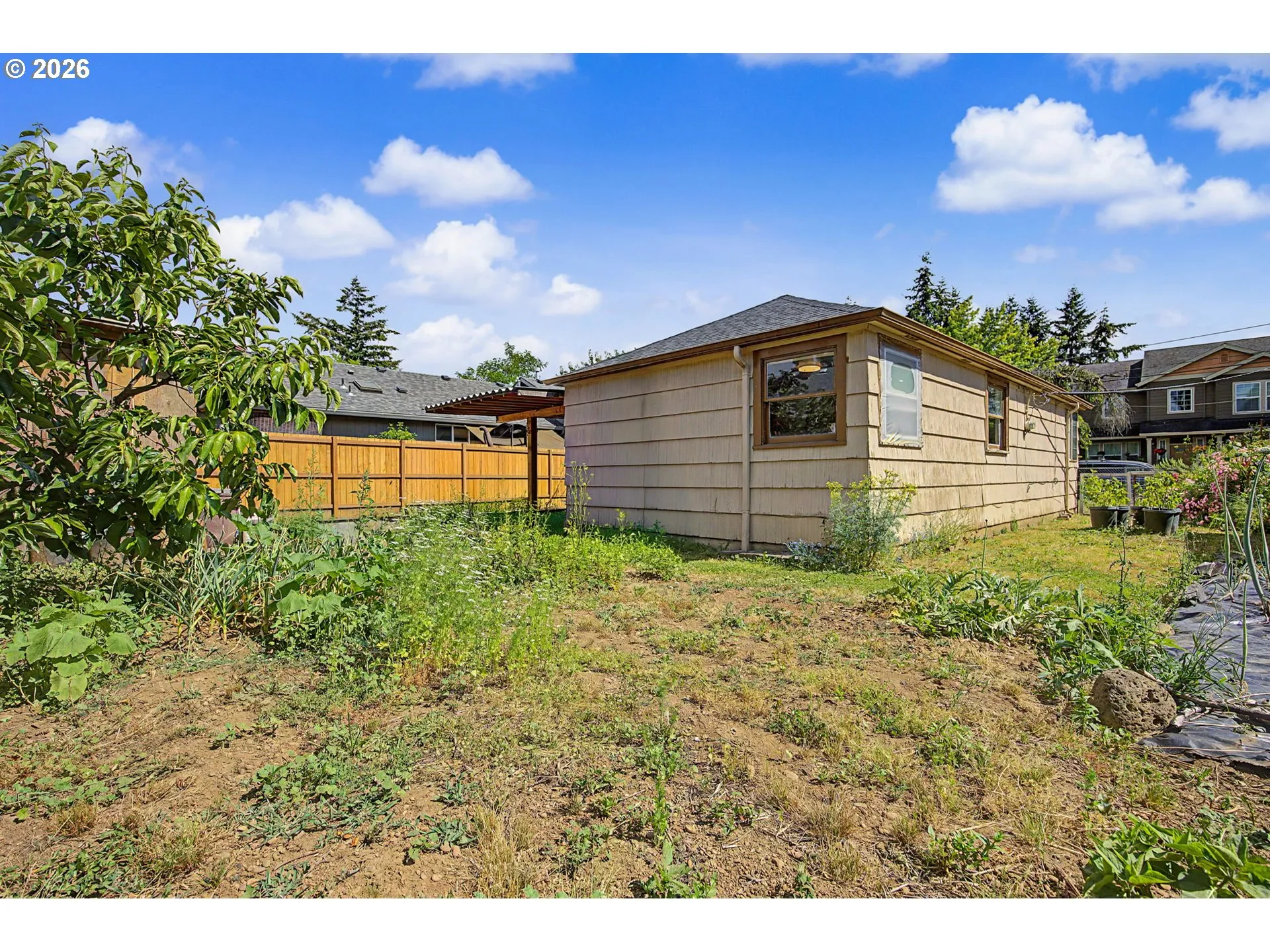 Backyard-View From