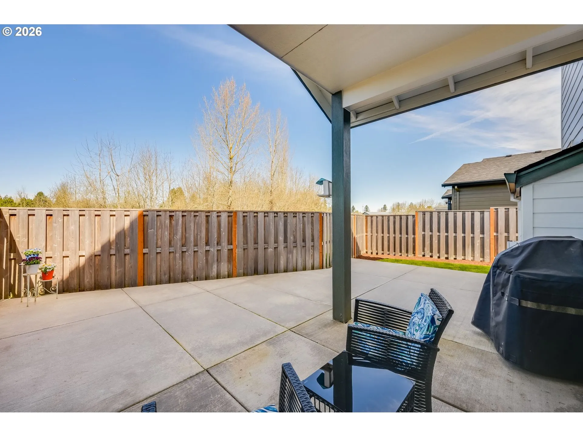 Backyard-View From