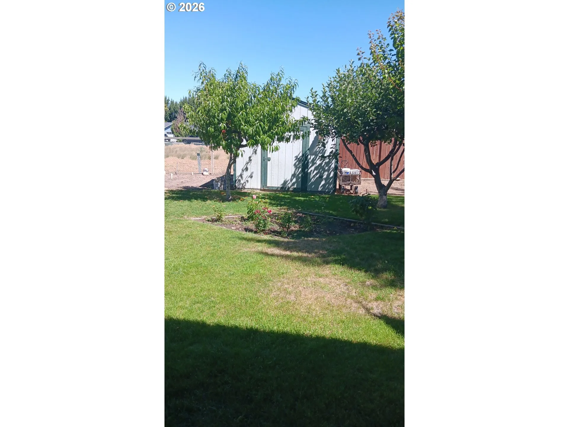 Backyard-Fenced