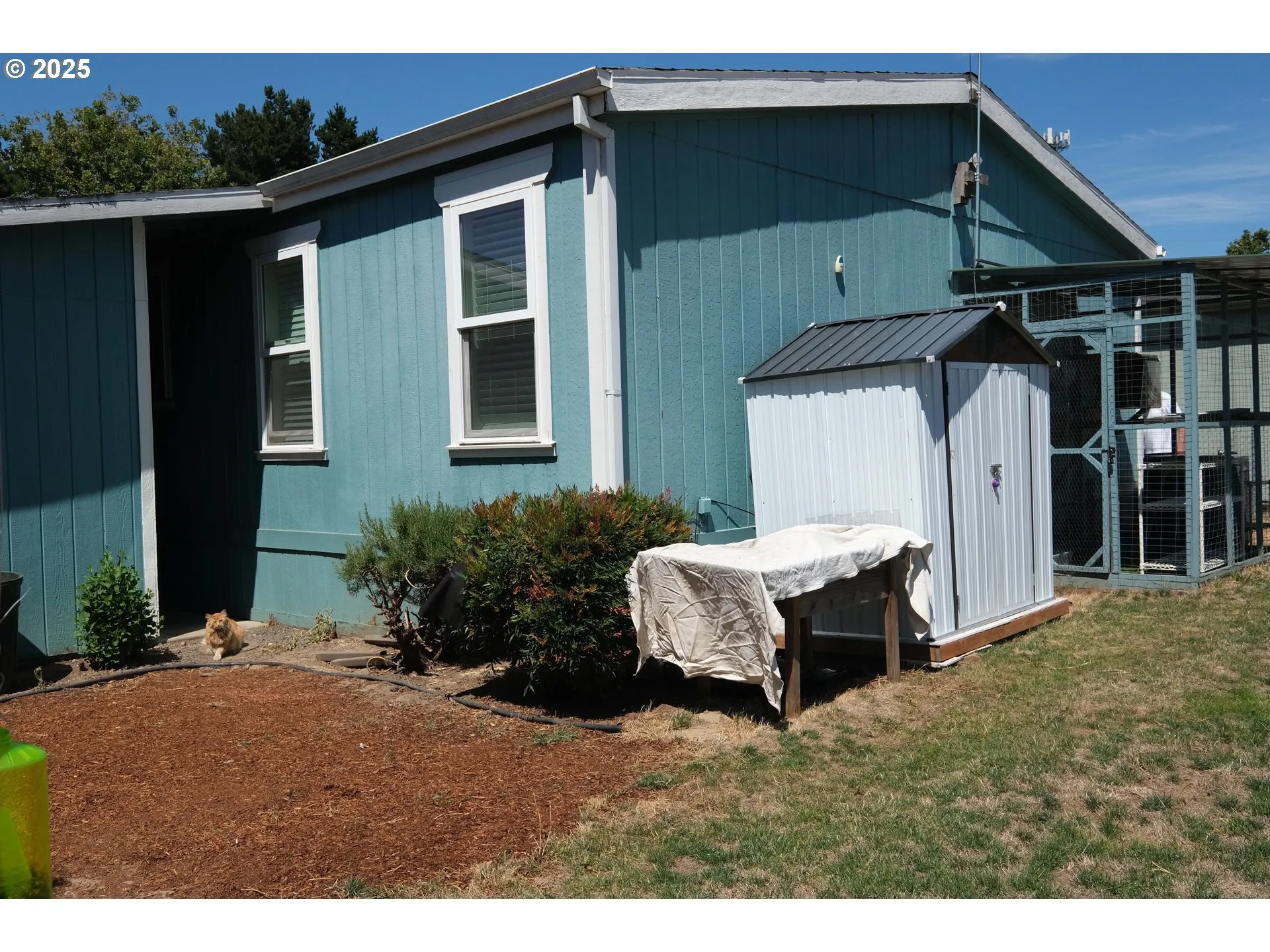 Backyard-Fenced