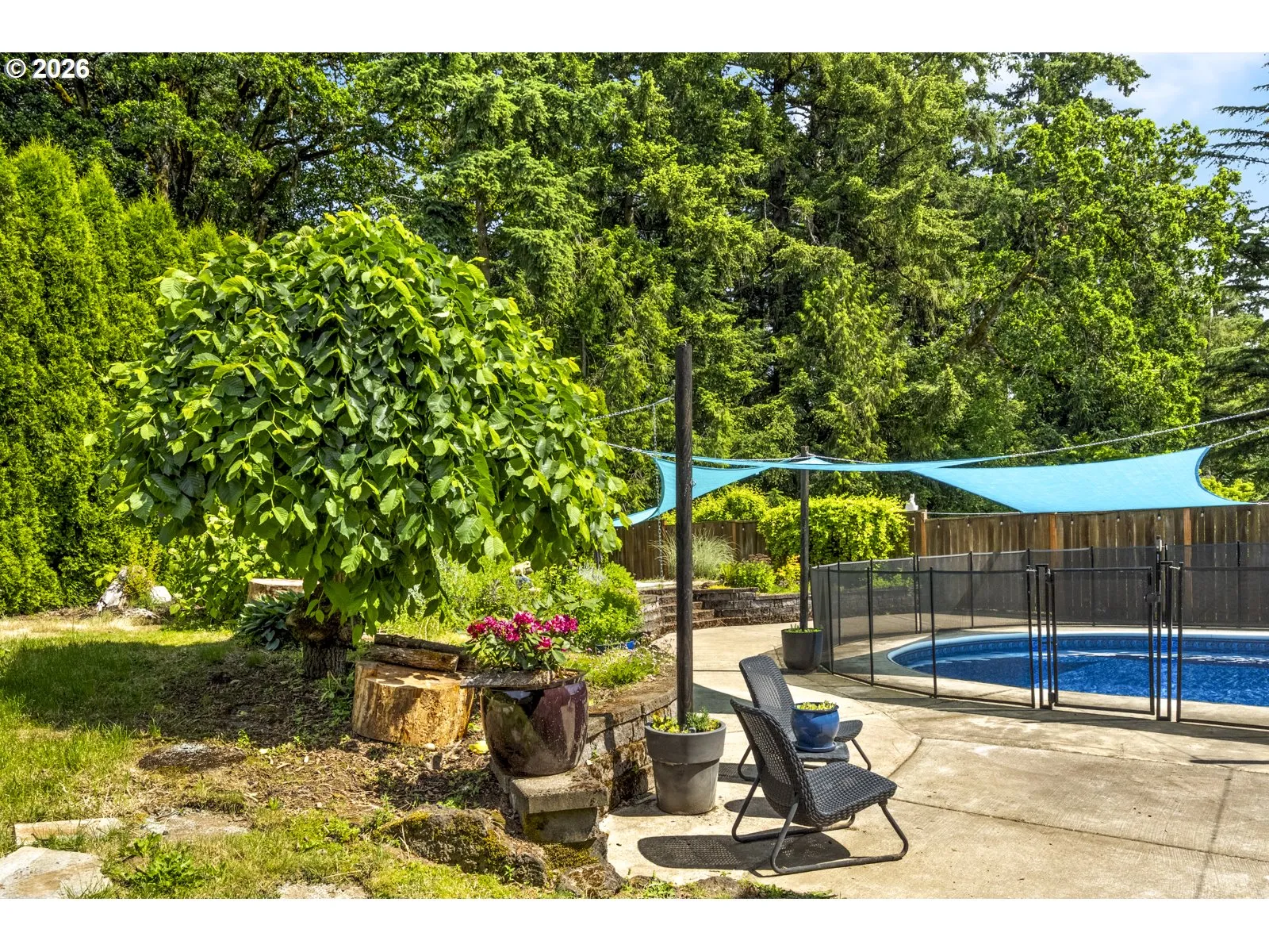 Backyard-Fenced