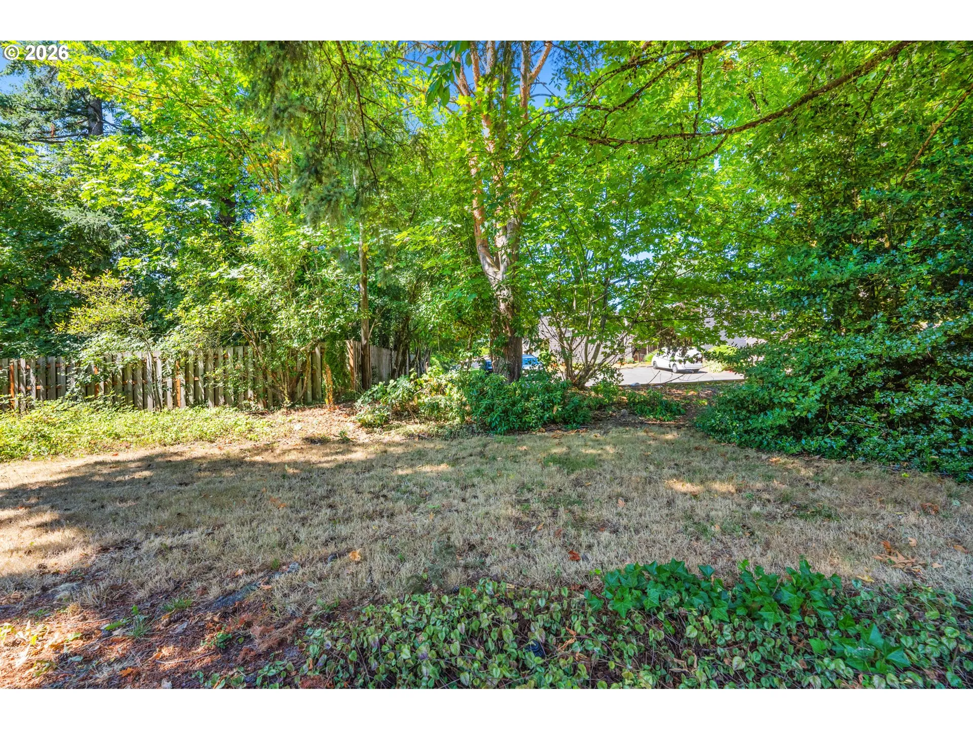 Backyard-View From