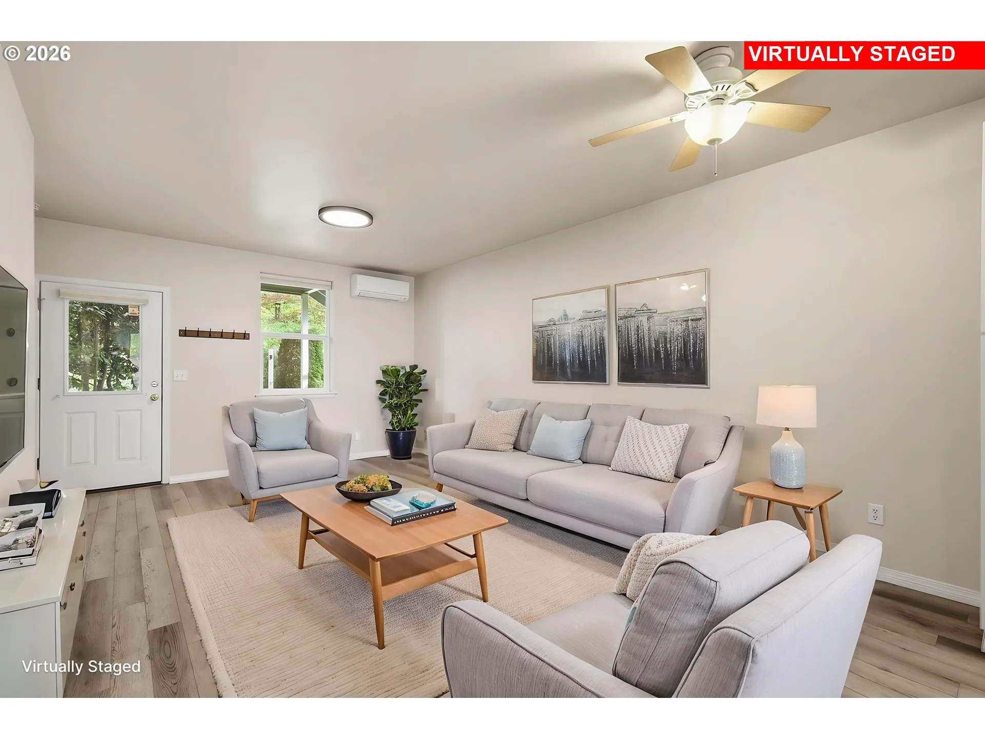 Living Room/Entrance