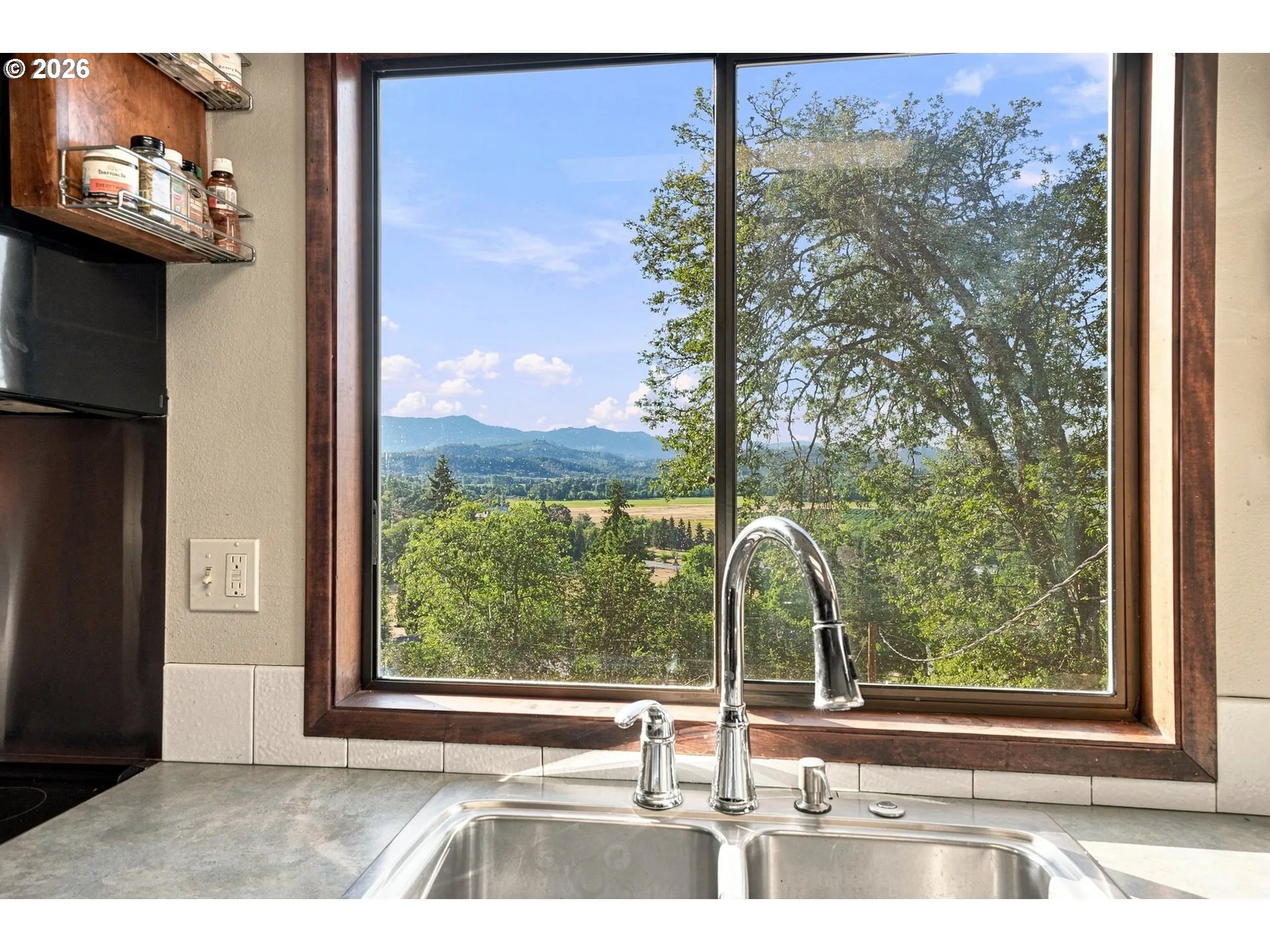 Kitchen-View From