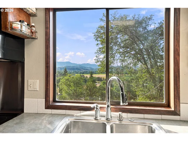 Kitchen-View From