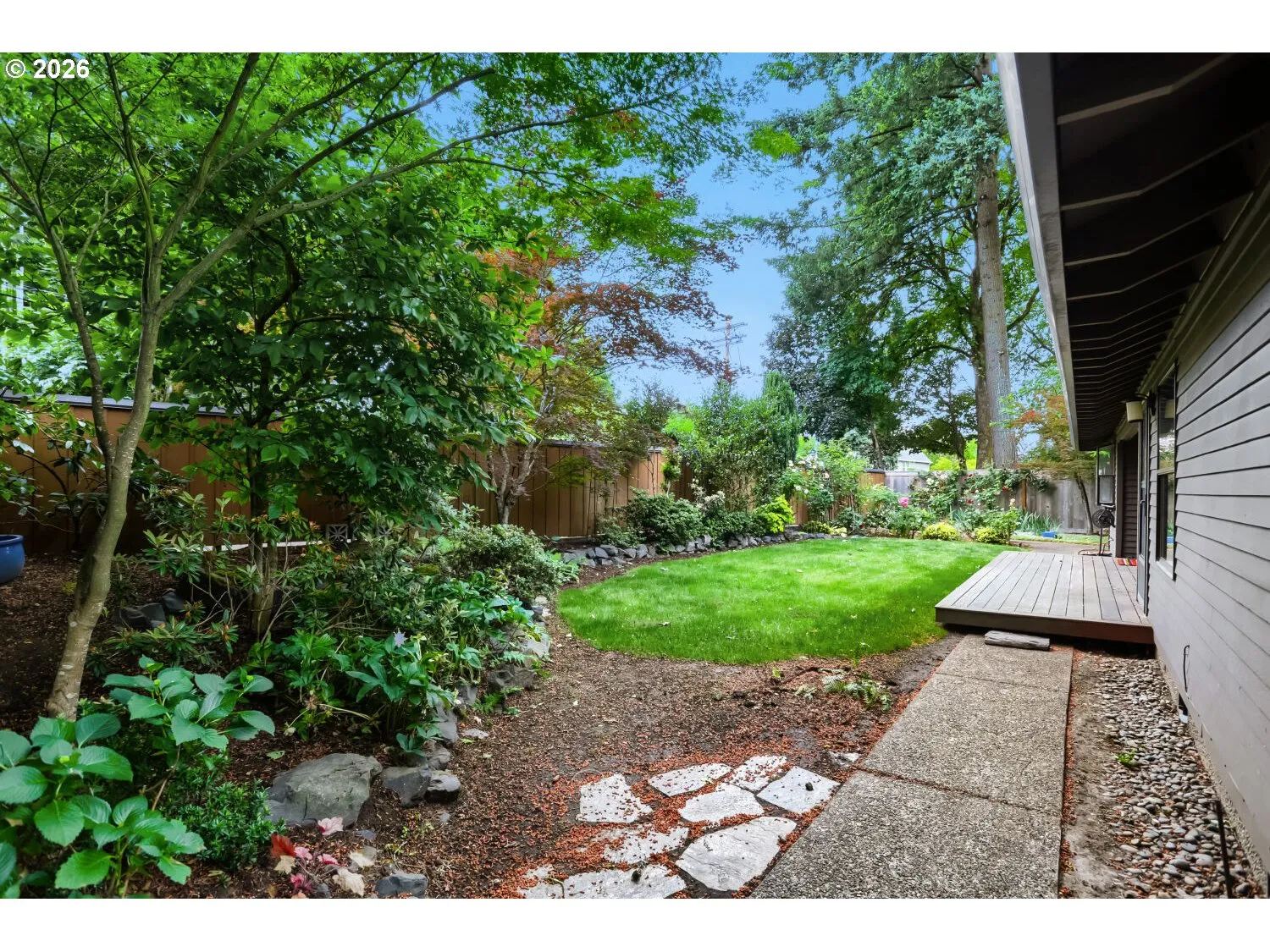 Backyard