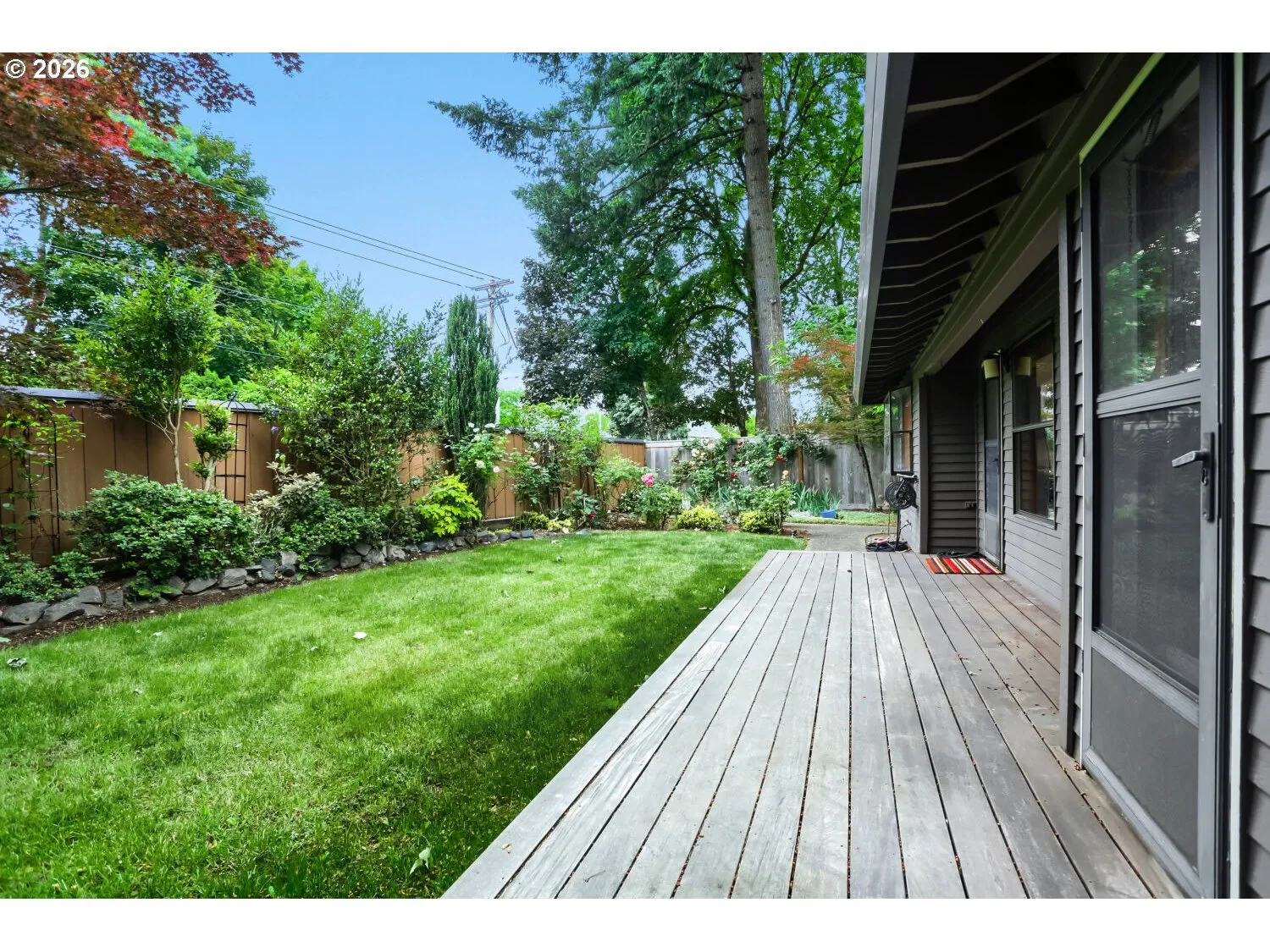 Backyard