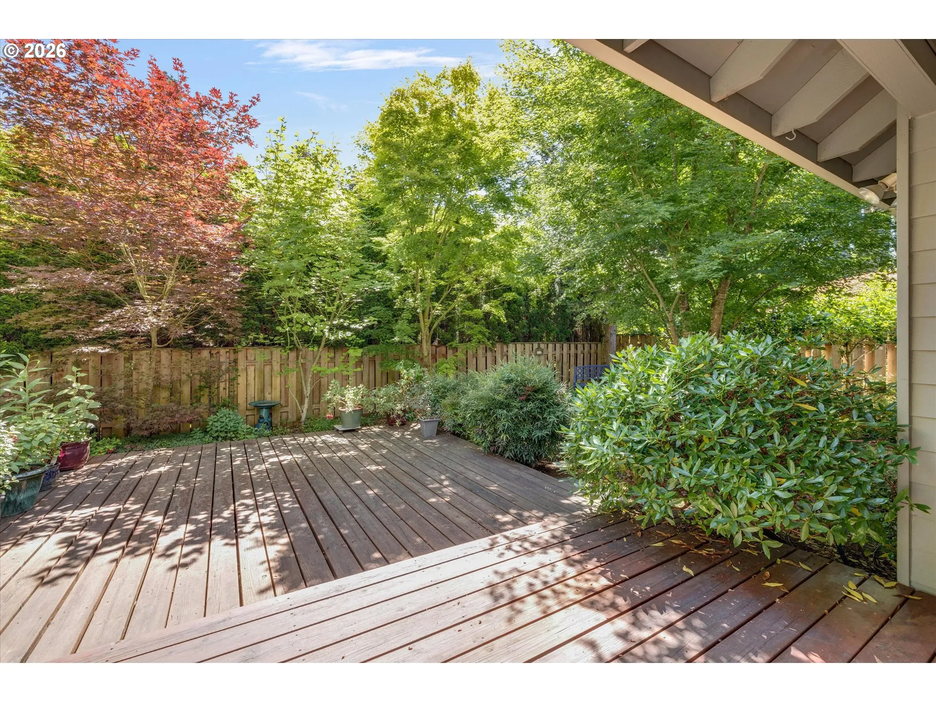 Backyard-Fenced