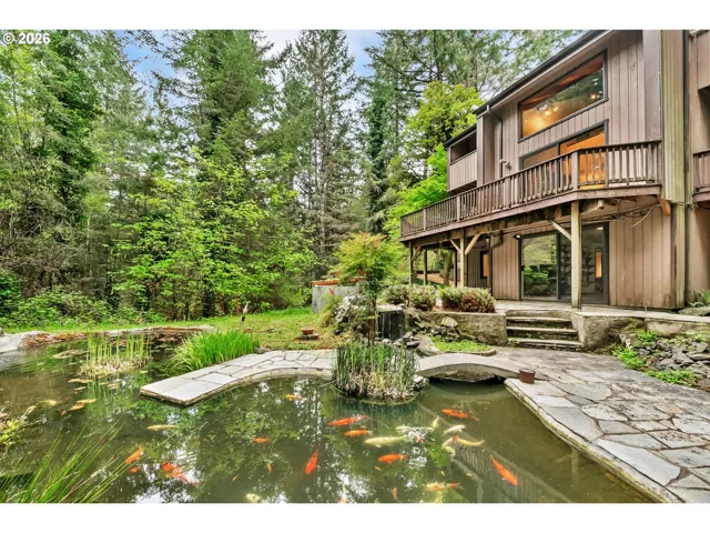Pond