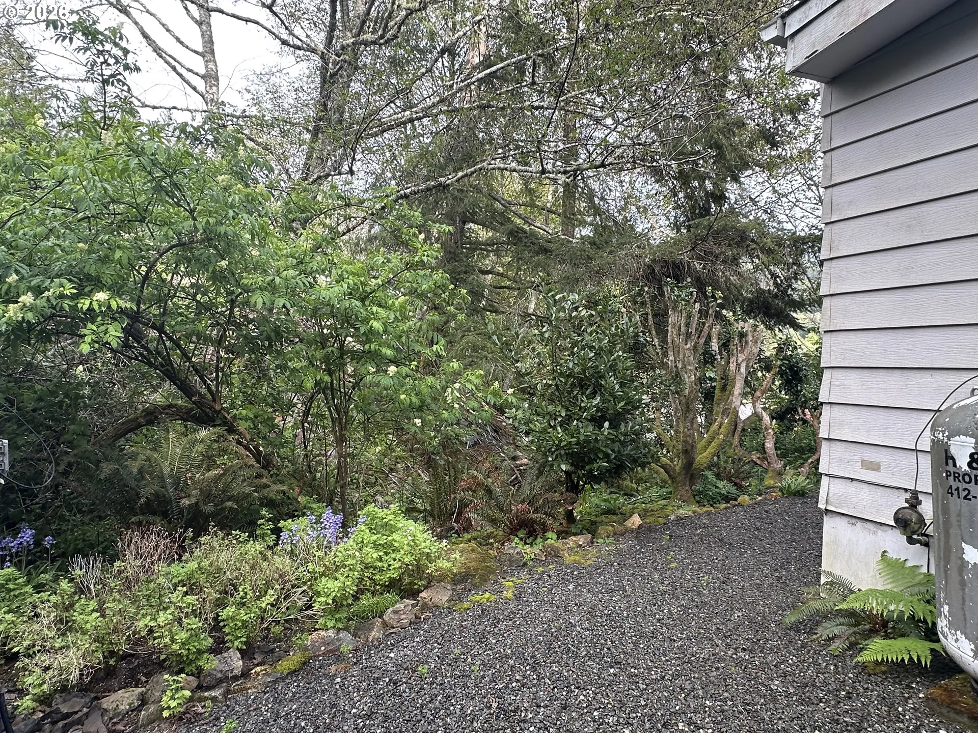 Yard-Back