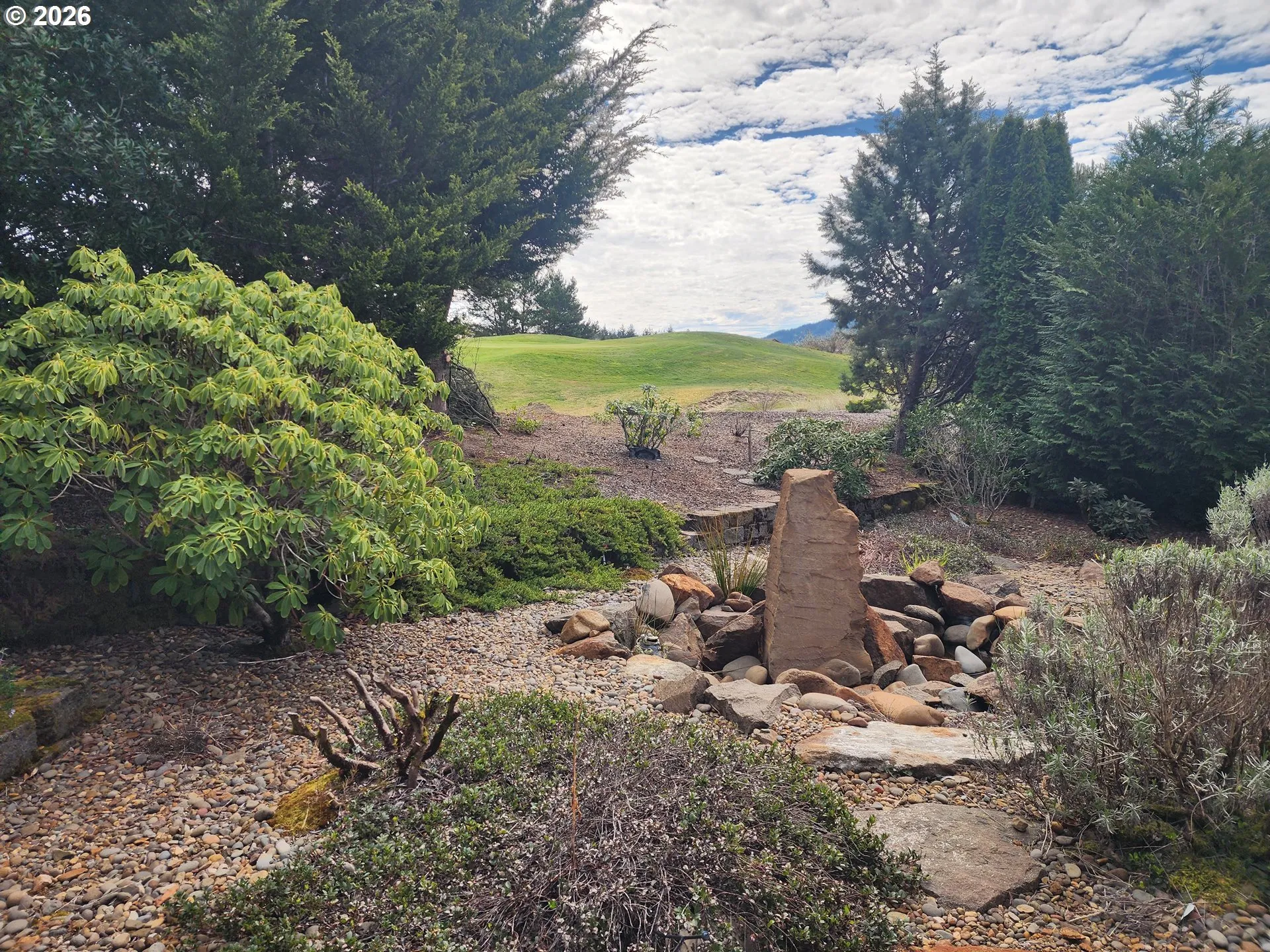 Backyard-View From