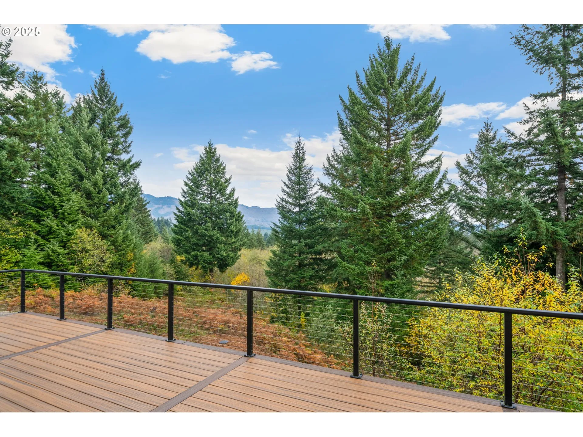 Deck-Main