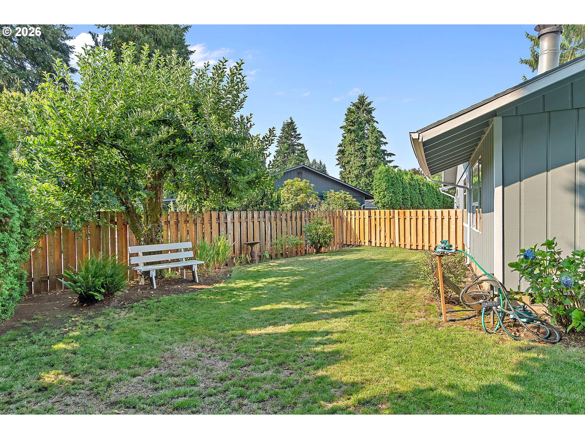 Backyard
