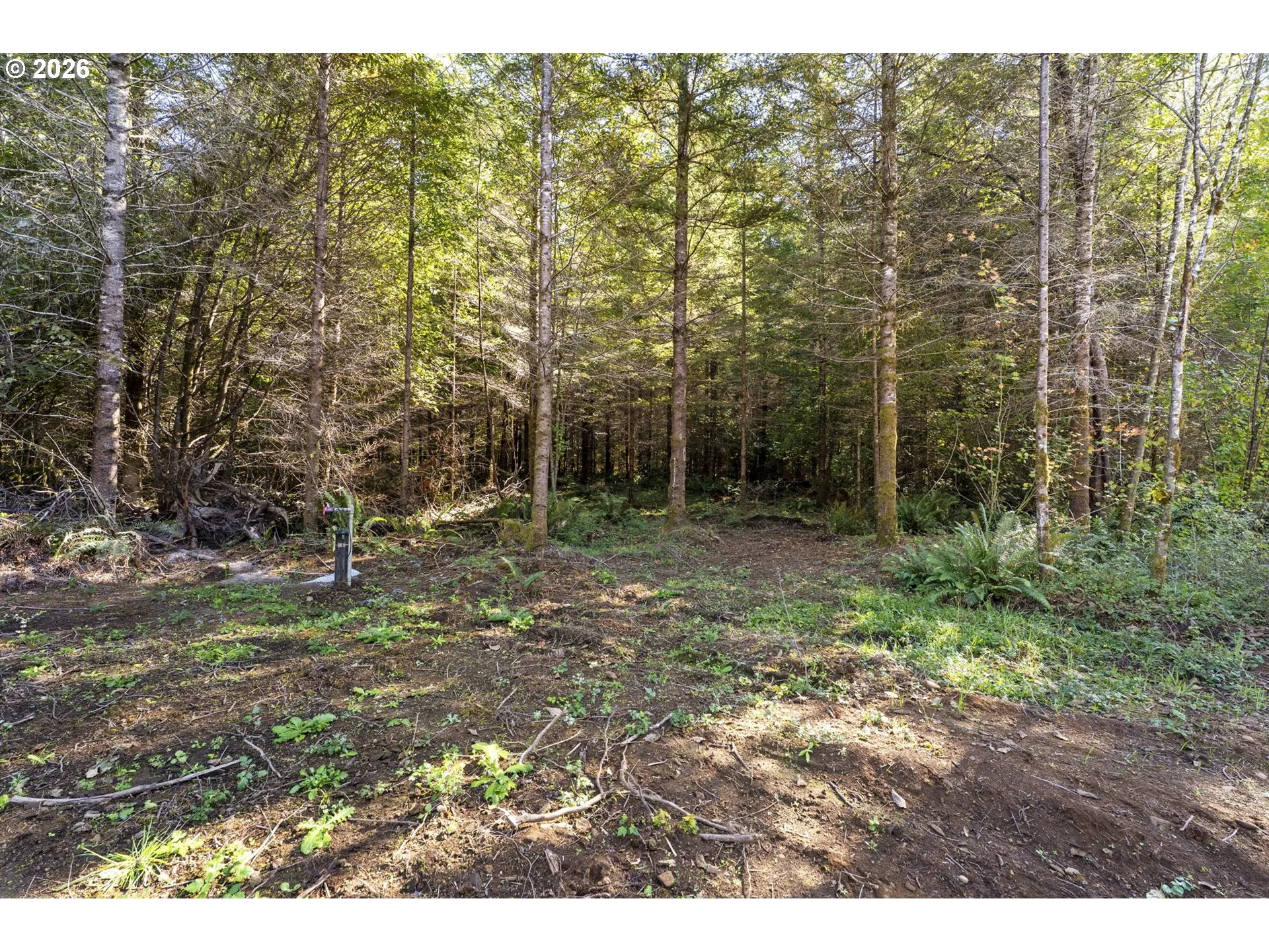 Acreage