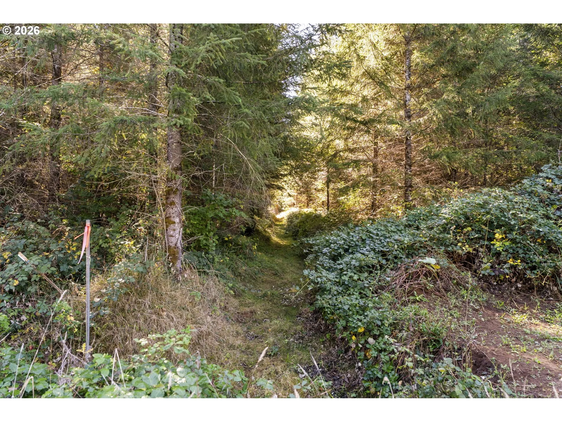 Acreage