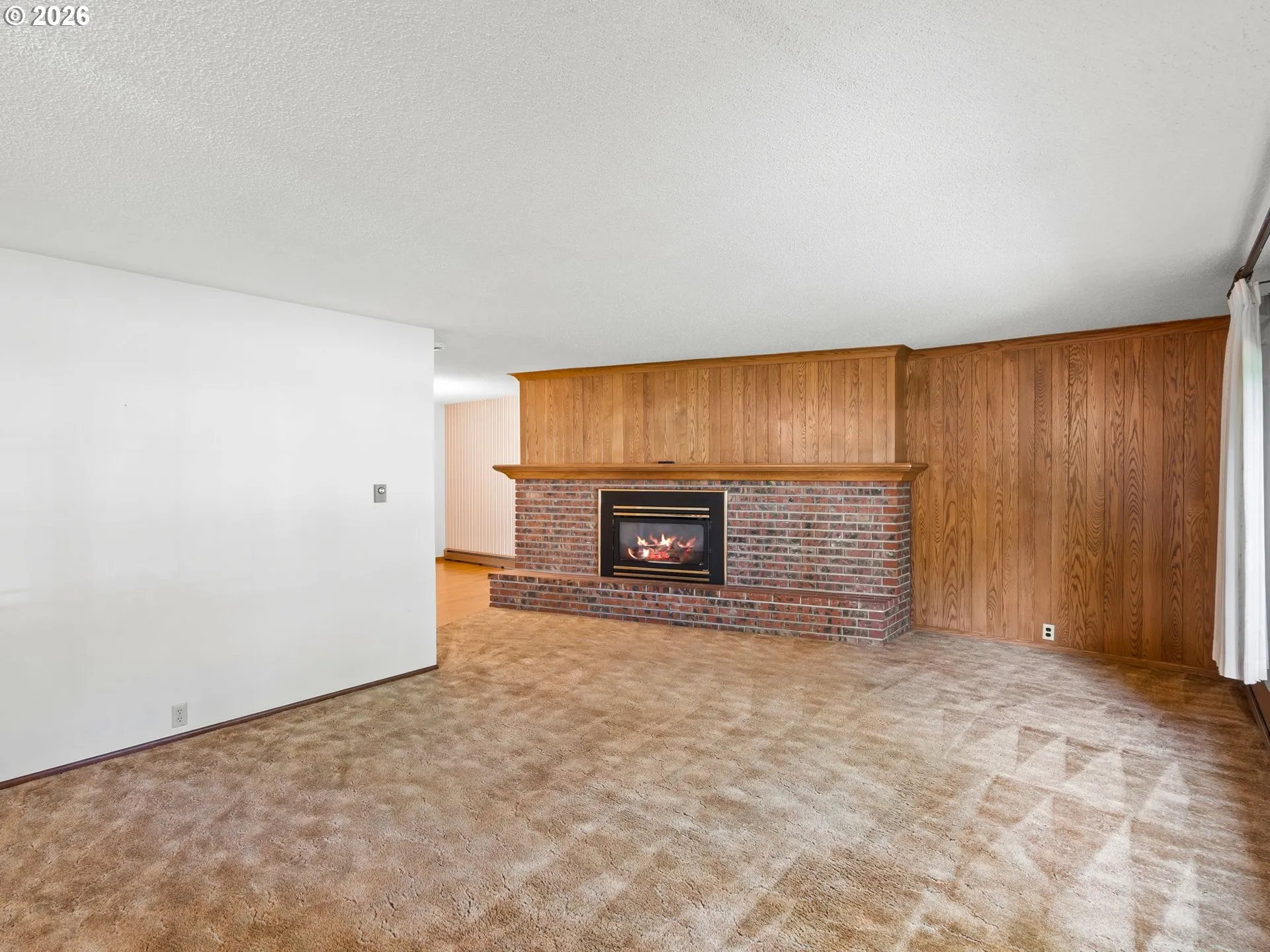 Living Room-Fireplace