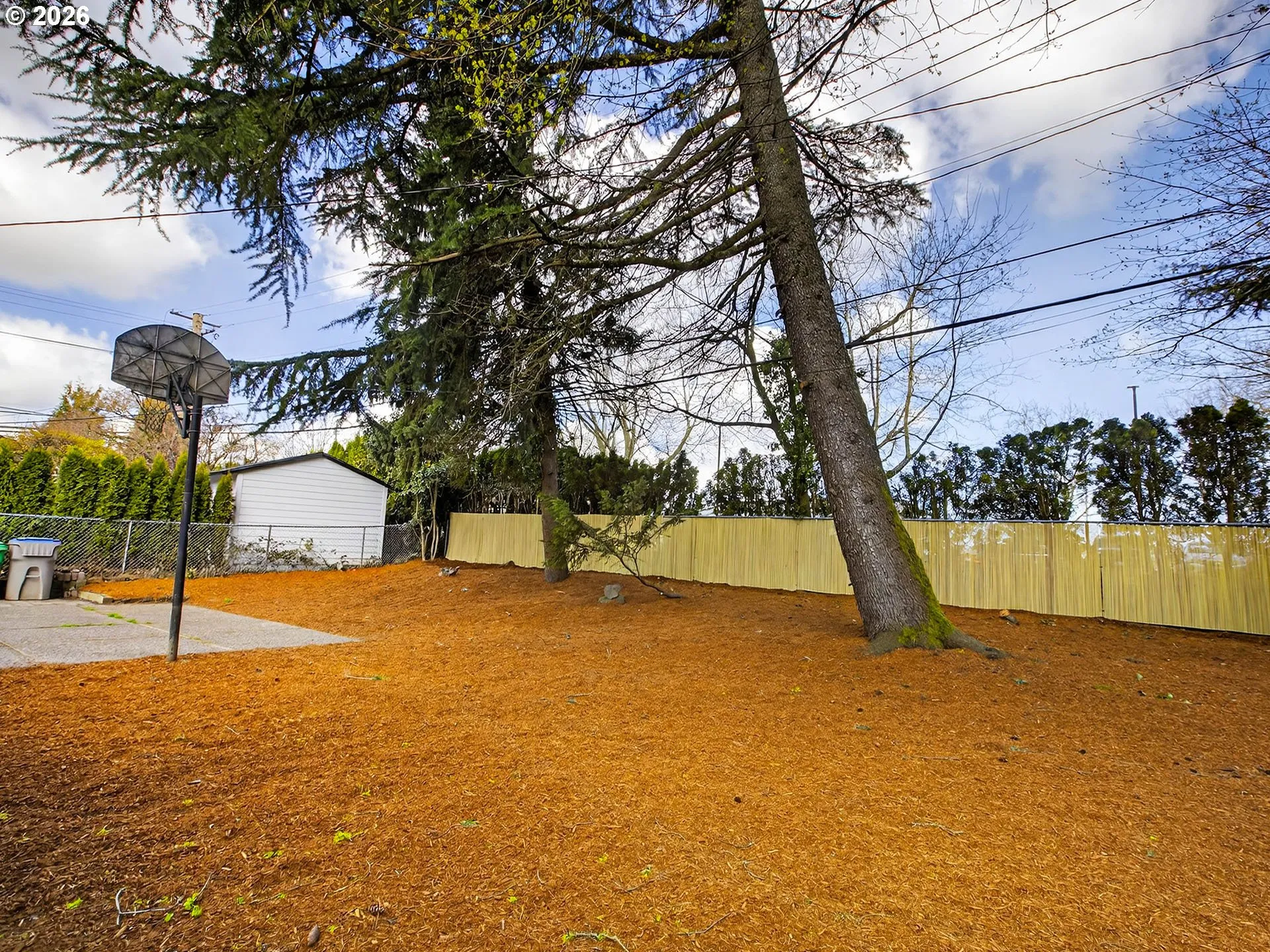 Backyard-Fenced