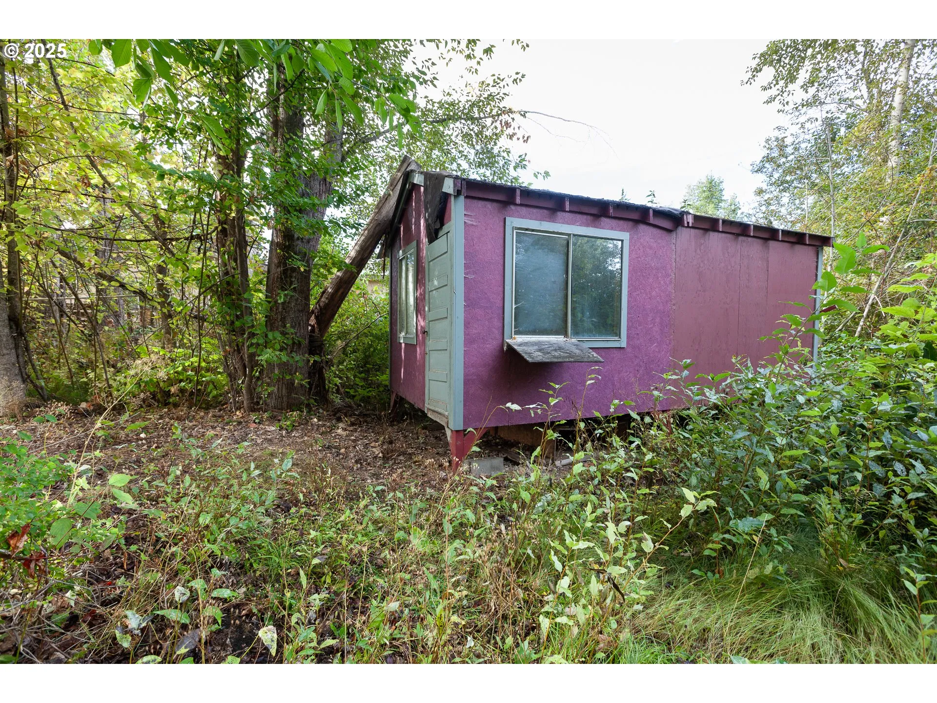 Shed