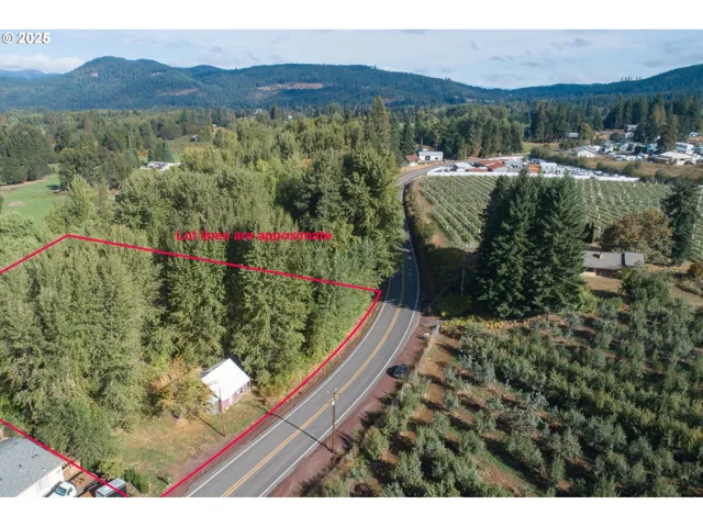 Approximate Property Lines-Wooded / Acreage