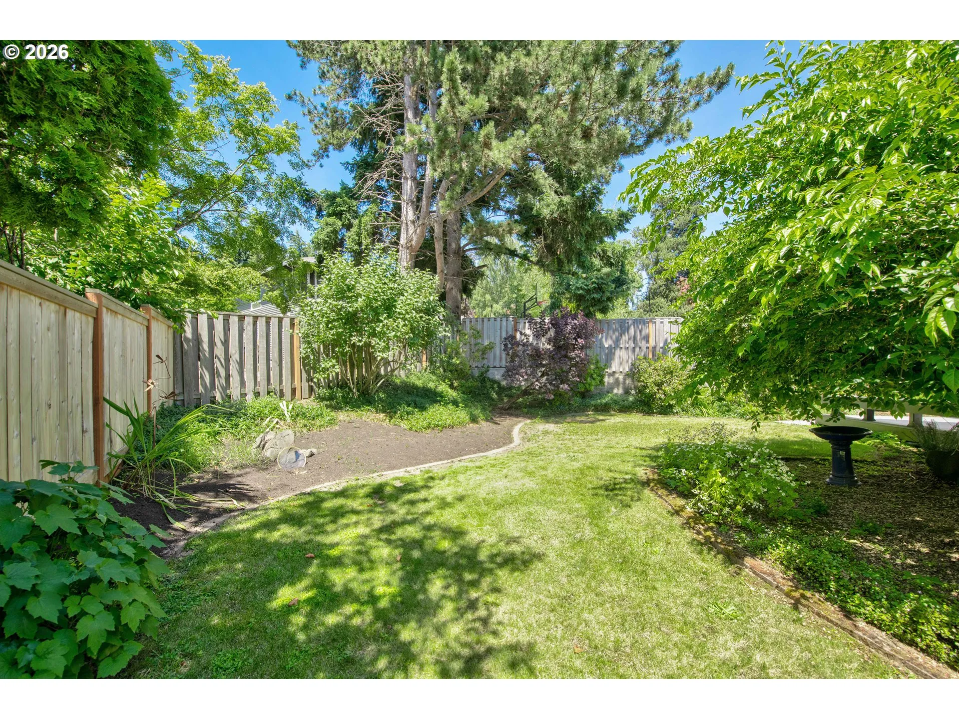 Backyard-Fenced