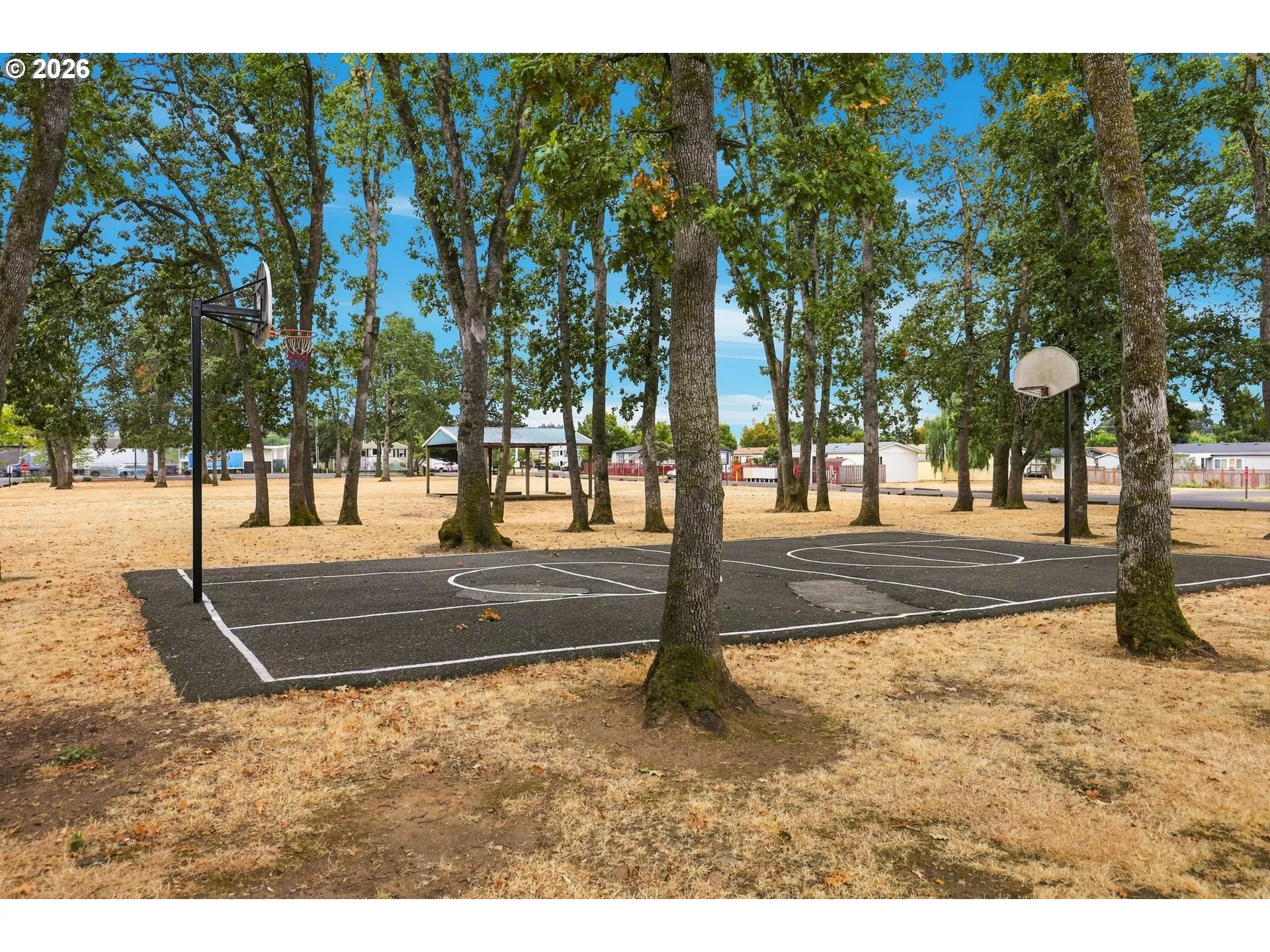Community Basketball