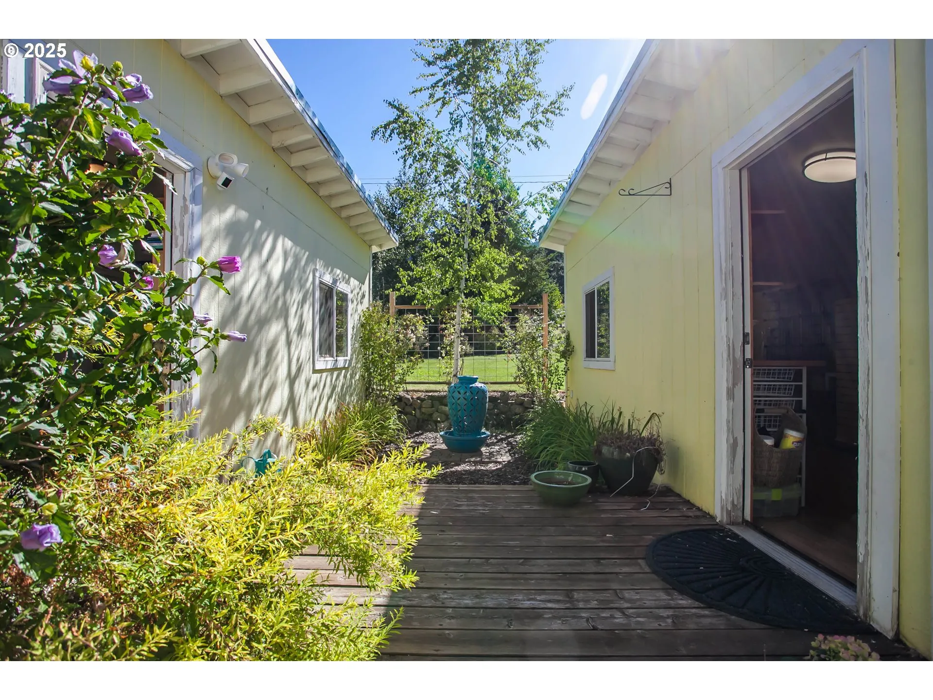 Shed-# 1