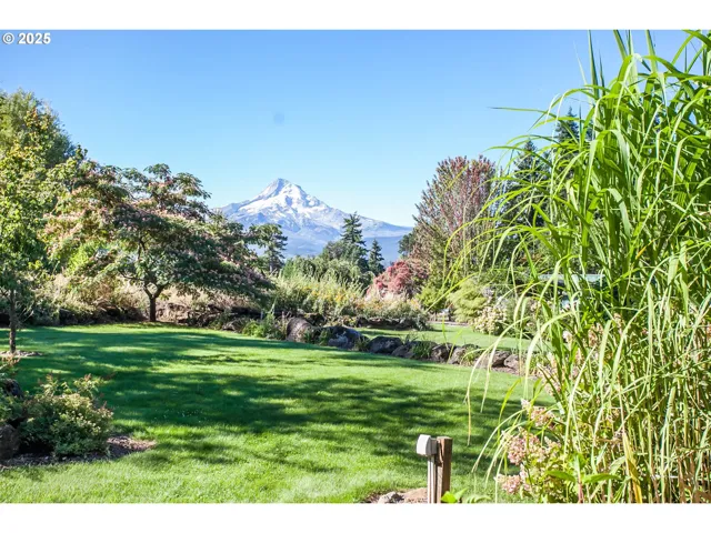Garden-View From