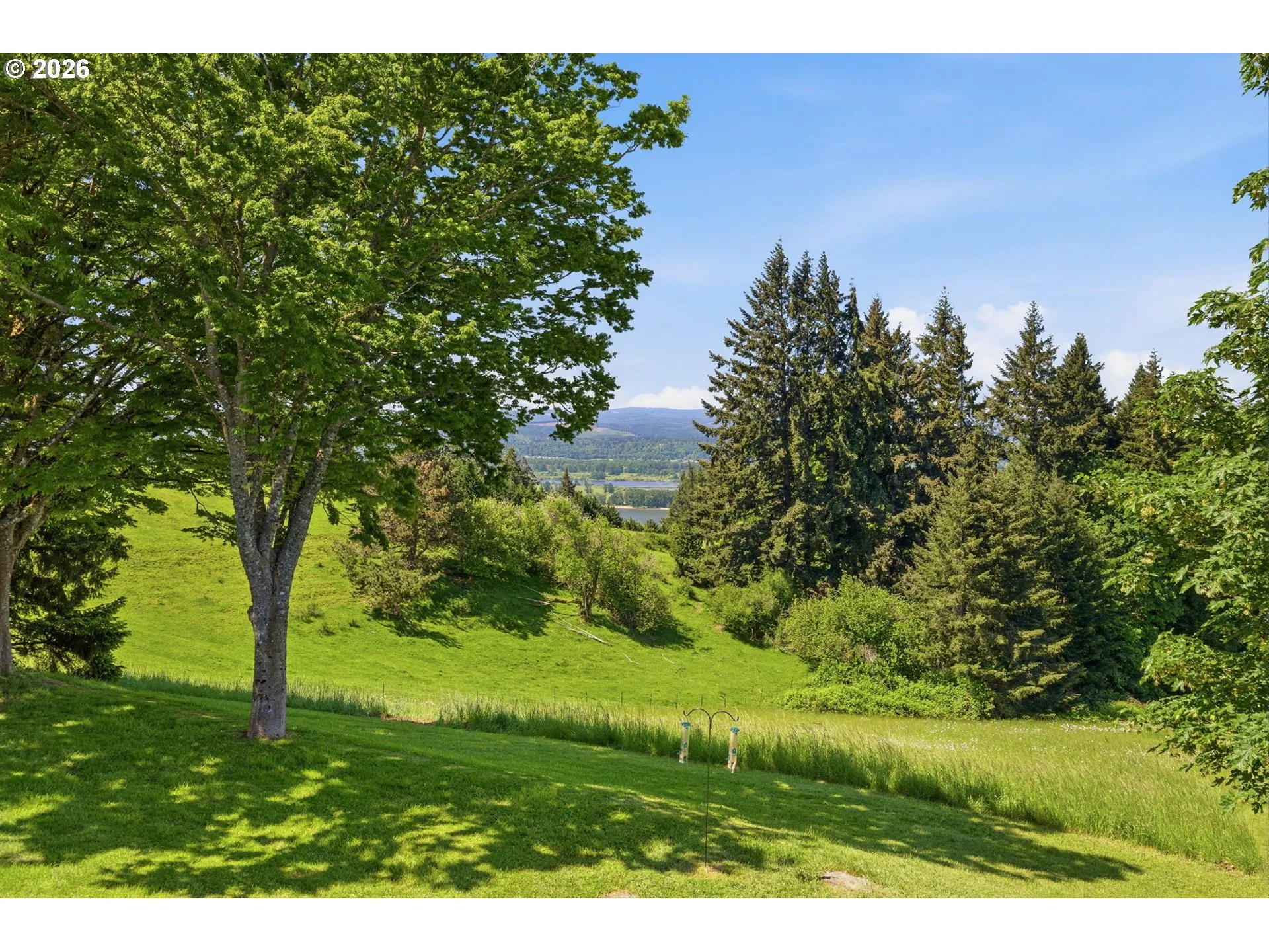 Backyard-View From