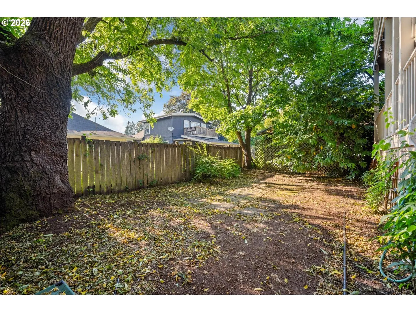 Backyard-Fenced