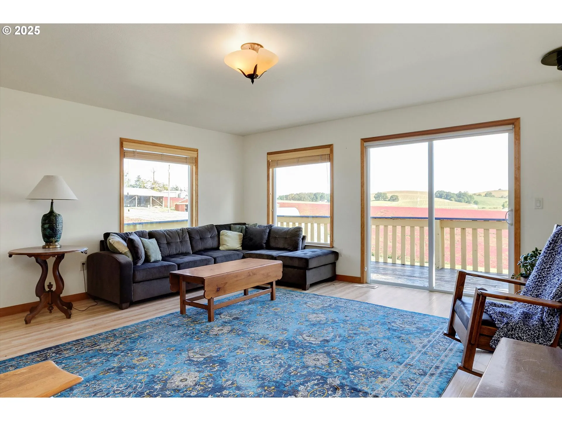 Living Room-View From