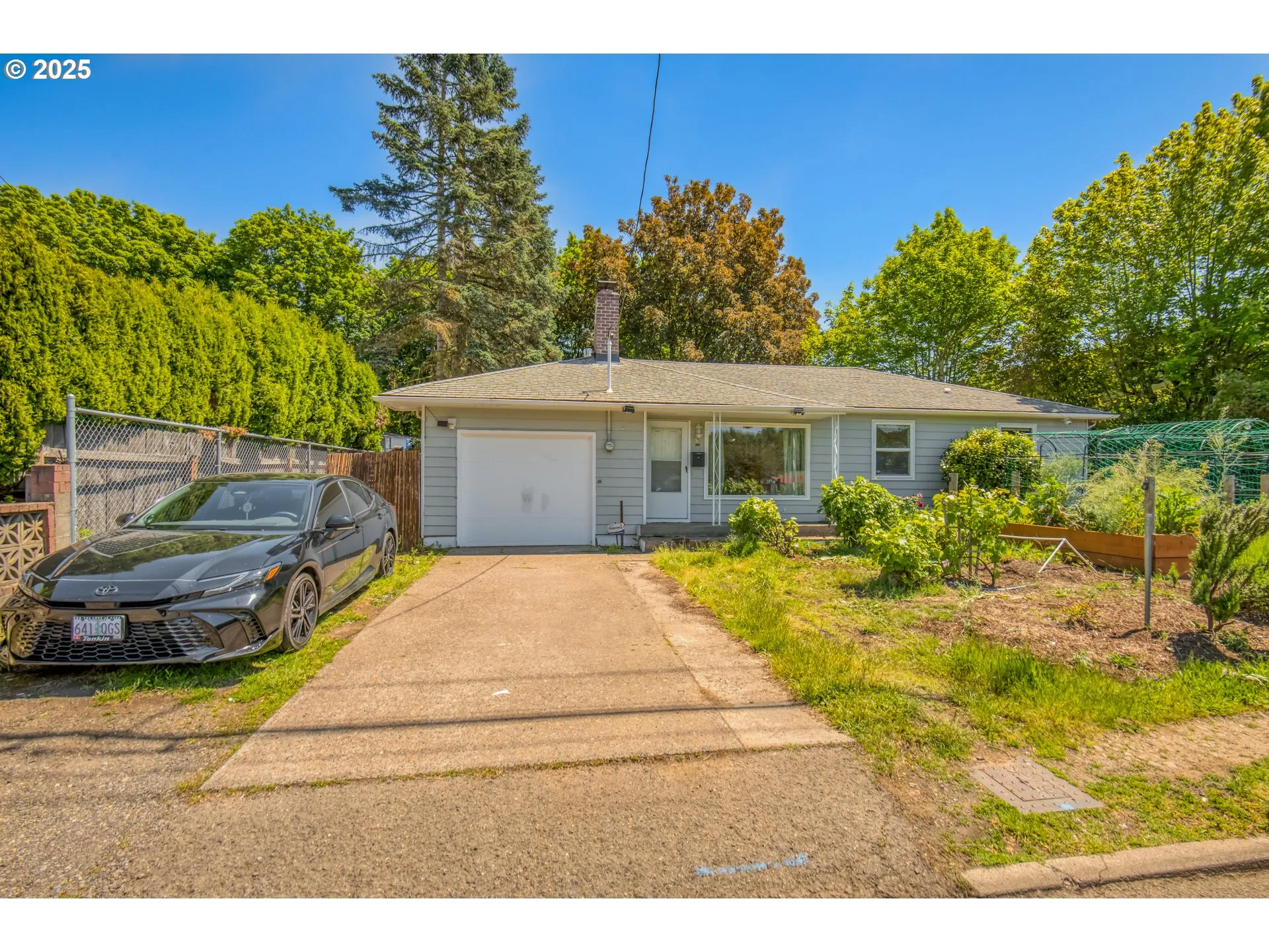 Front Yard